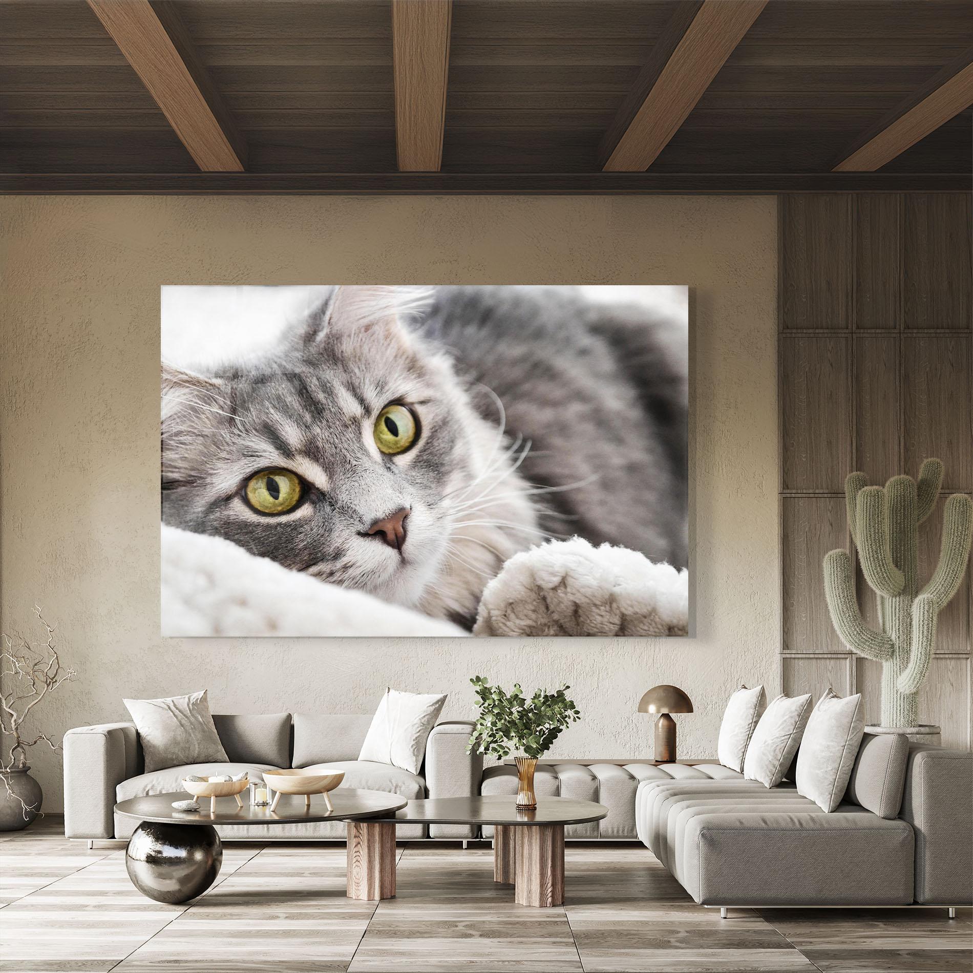 Стъклена картина Grey Fluffy Cat mockup 8