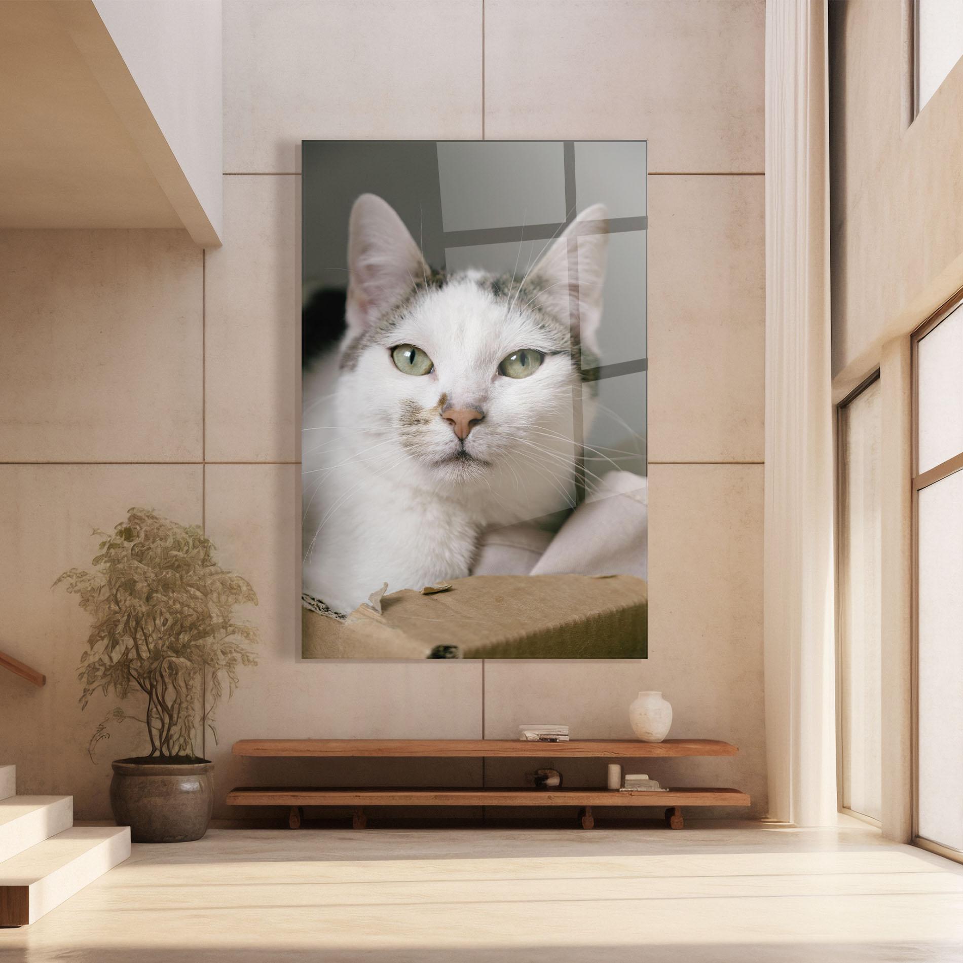 Стъклена картина Big Sleepy Cat mockup 8