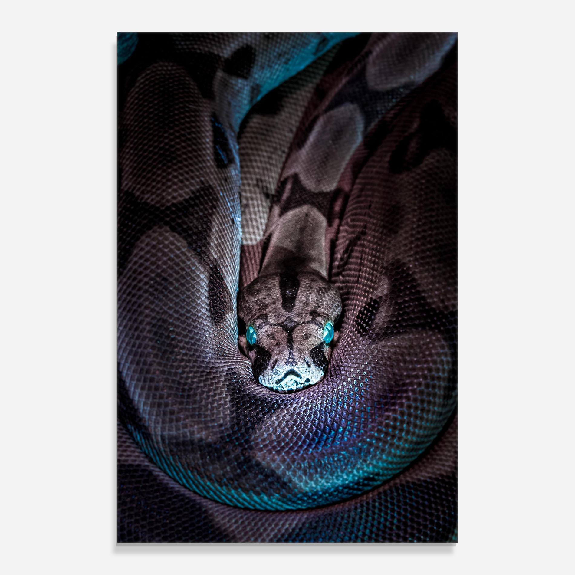 Стъклена картина Vibrant Snake mockup 0