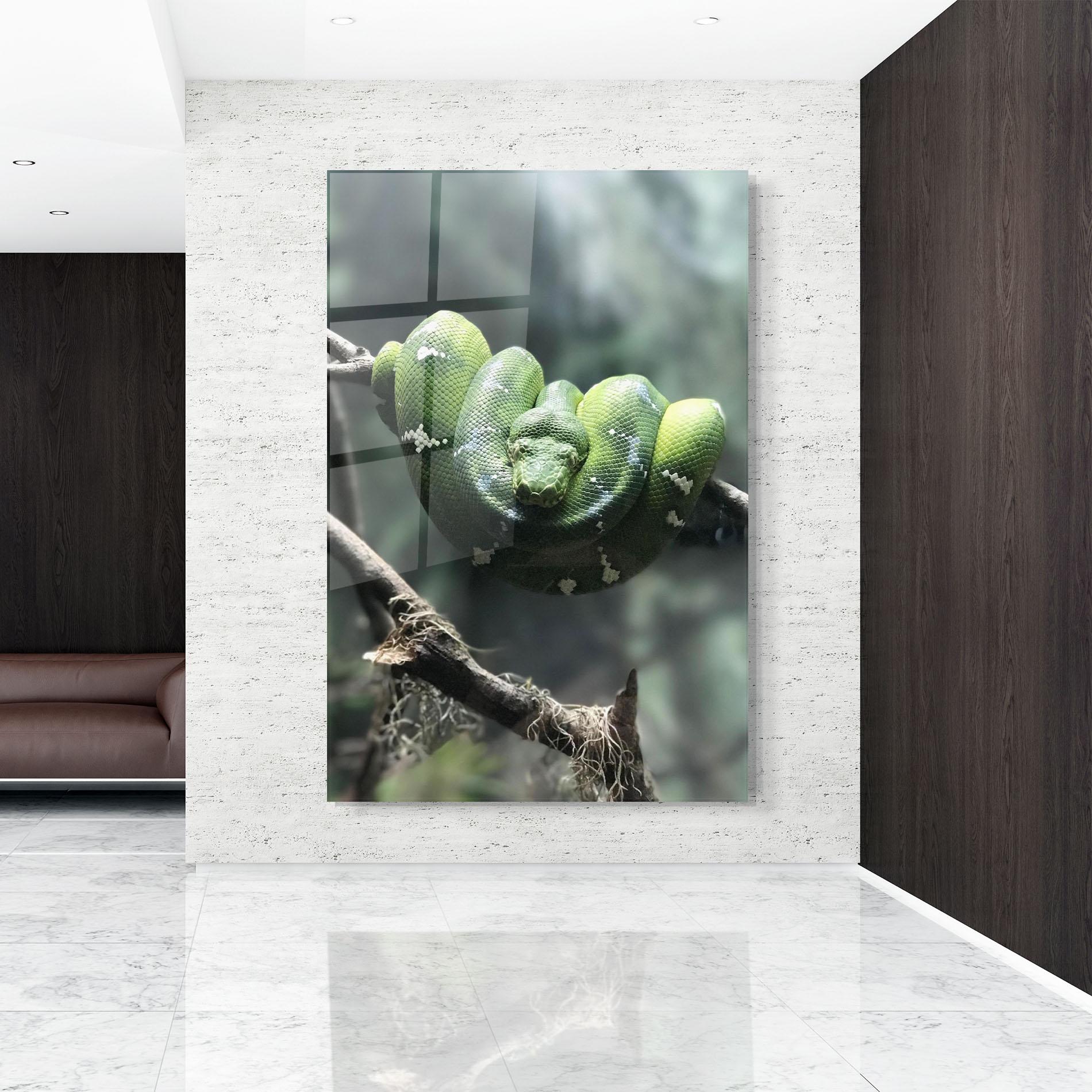 Стъклена картина Sleepy Snake mockup 9