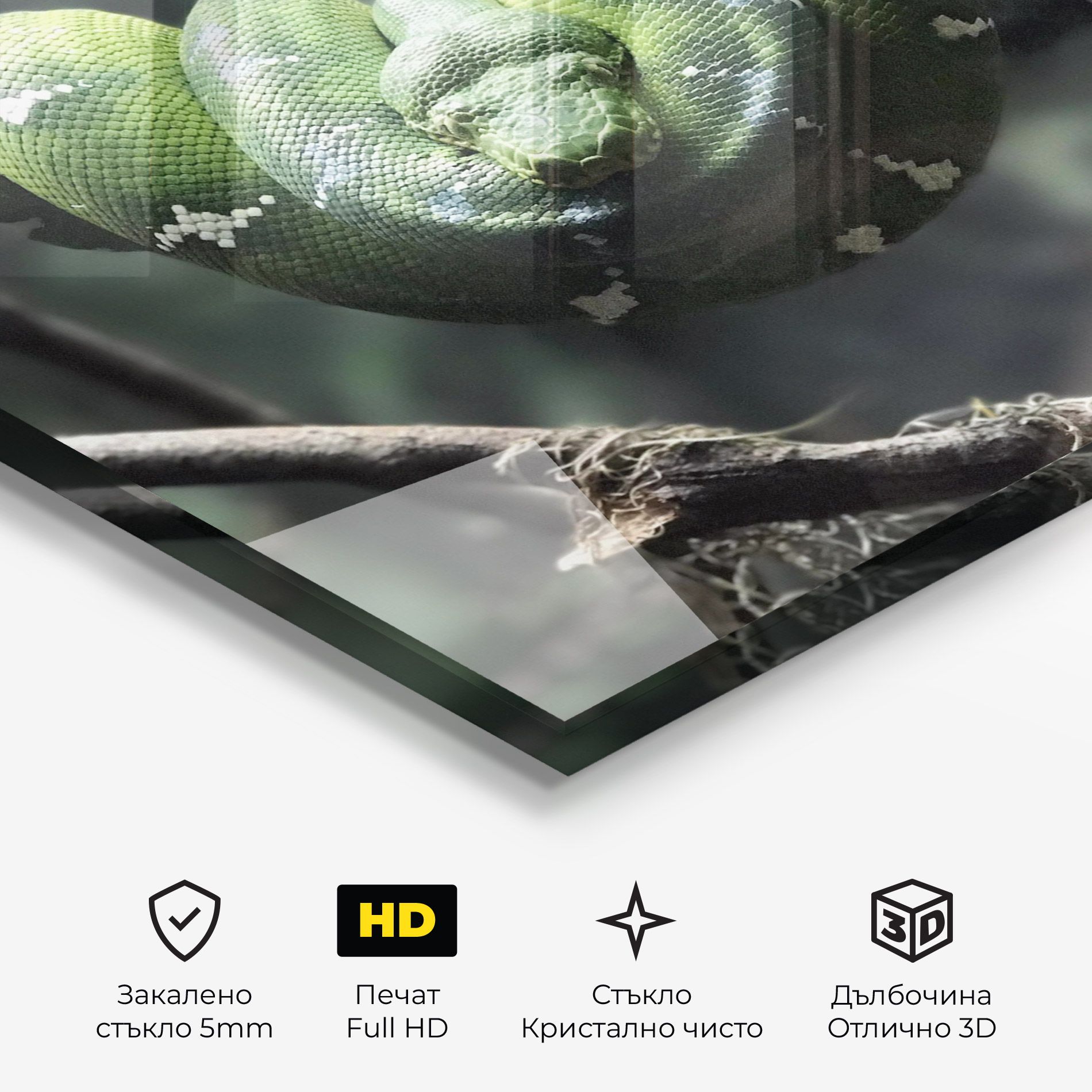 Sleepy Snake mockup 3