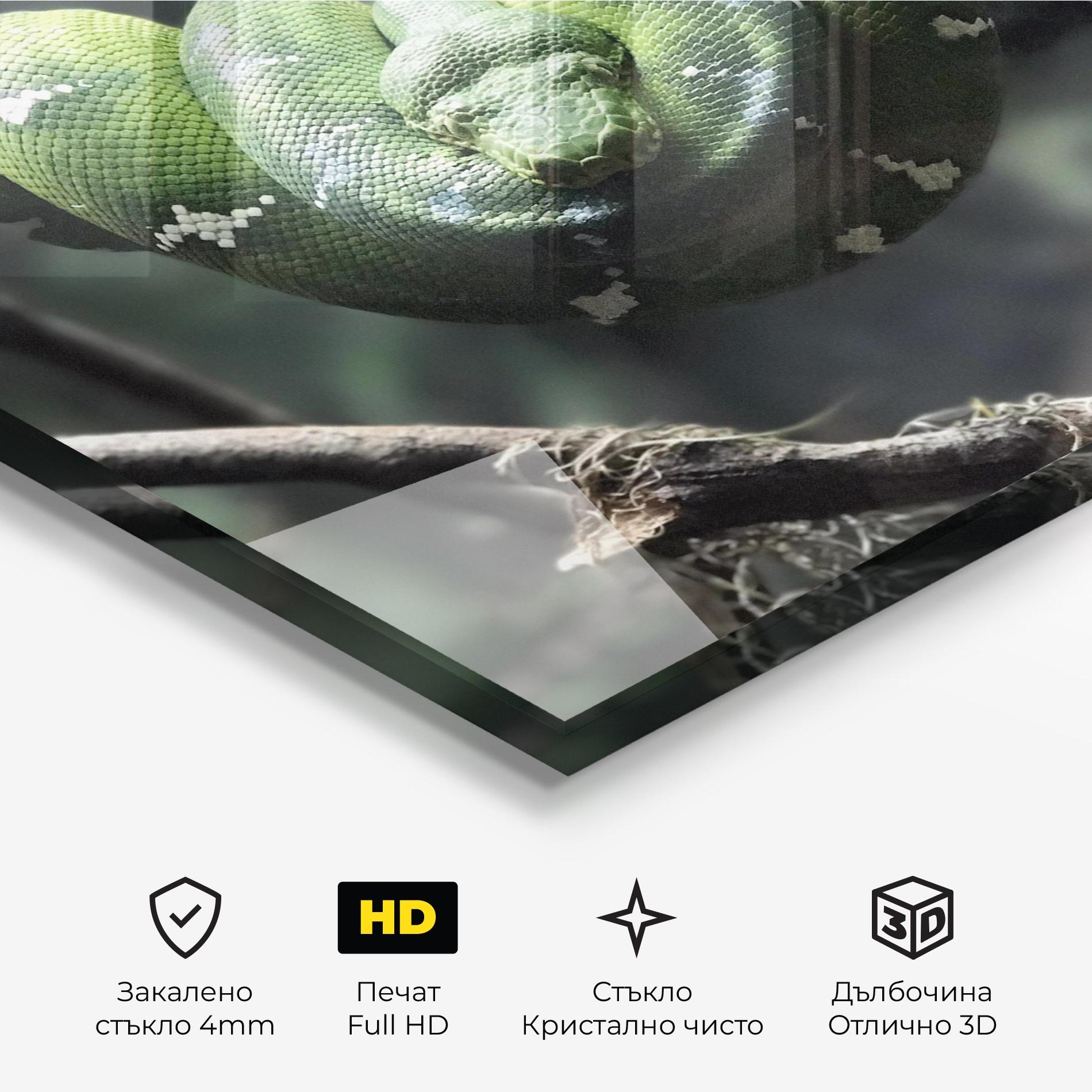 Стъклена картина Sleepy Snake mockup 3