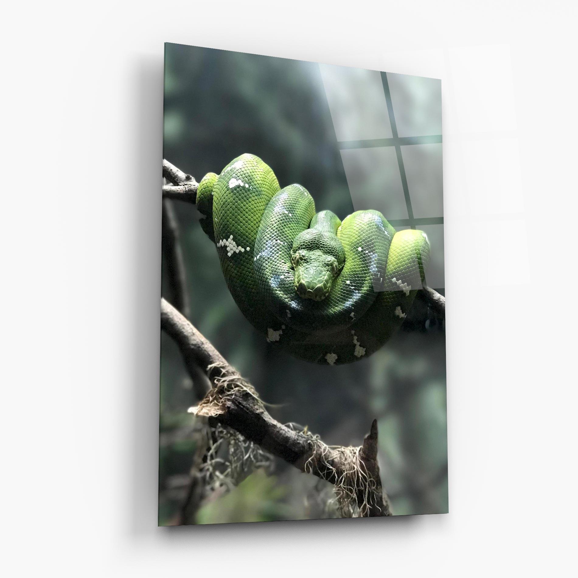 Стъклена картина Sleepy Snake mockup 6