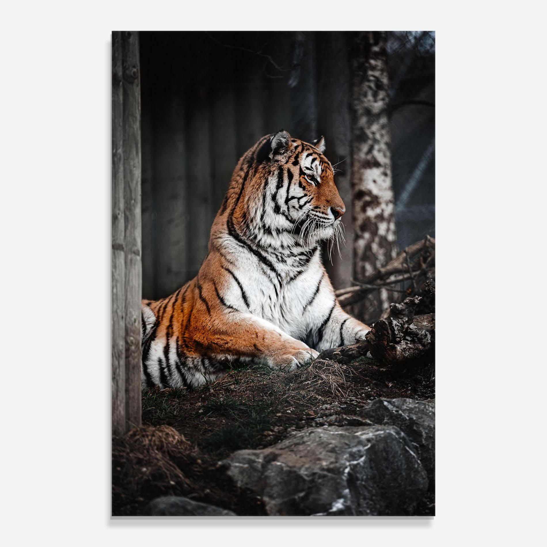 Стъклена картина Forest Tiger mockup 0