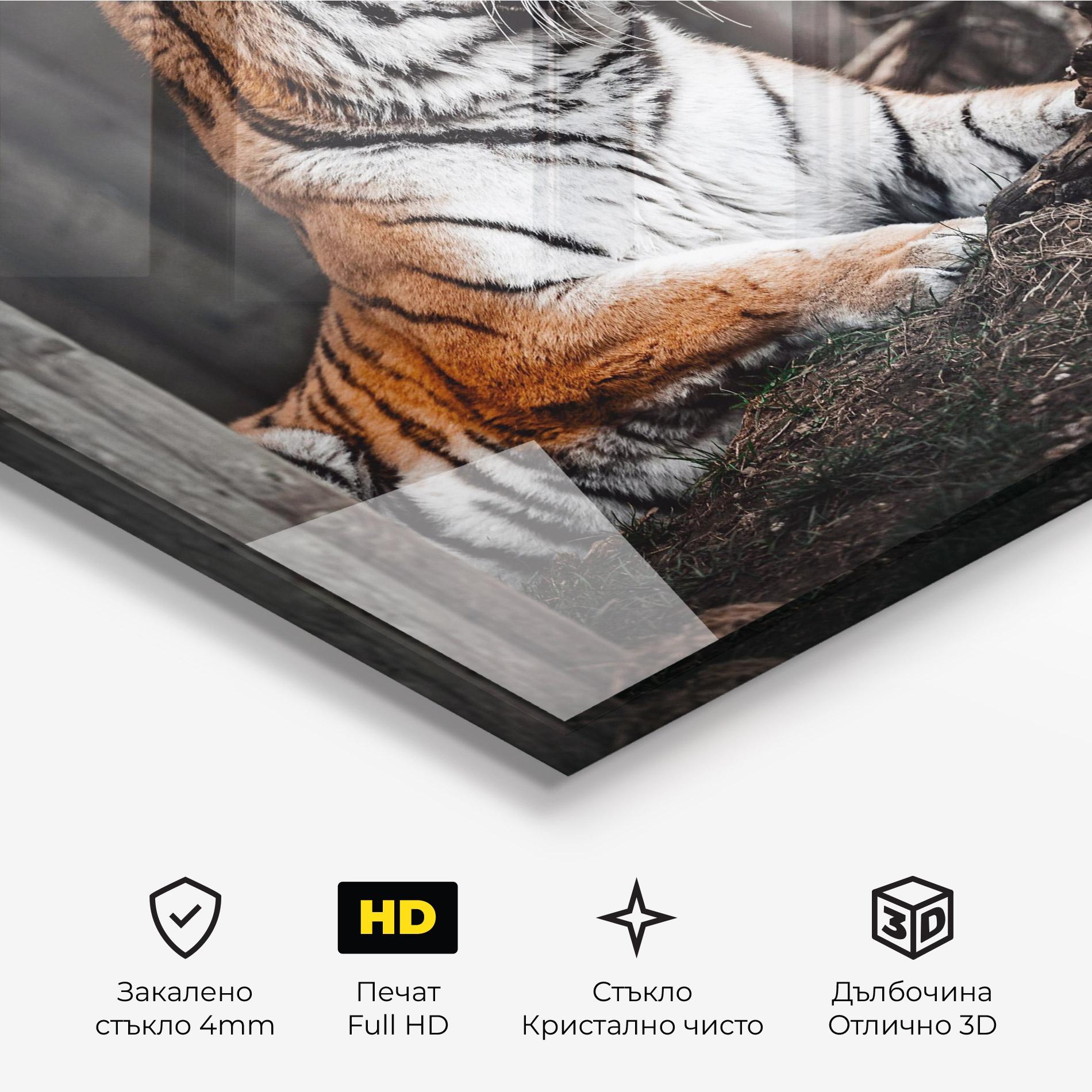 Стъклена картина Forest Tiger mockup 3
