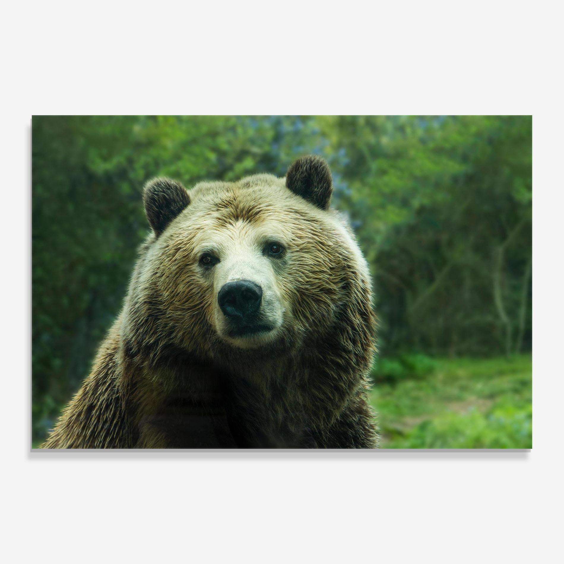 Стъклена картина Green Bear mockup 0