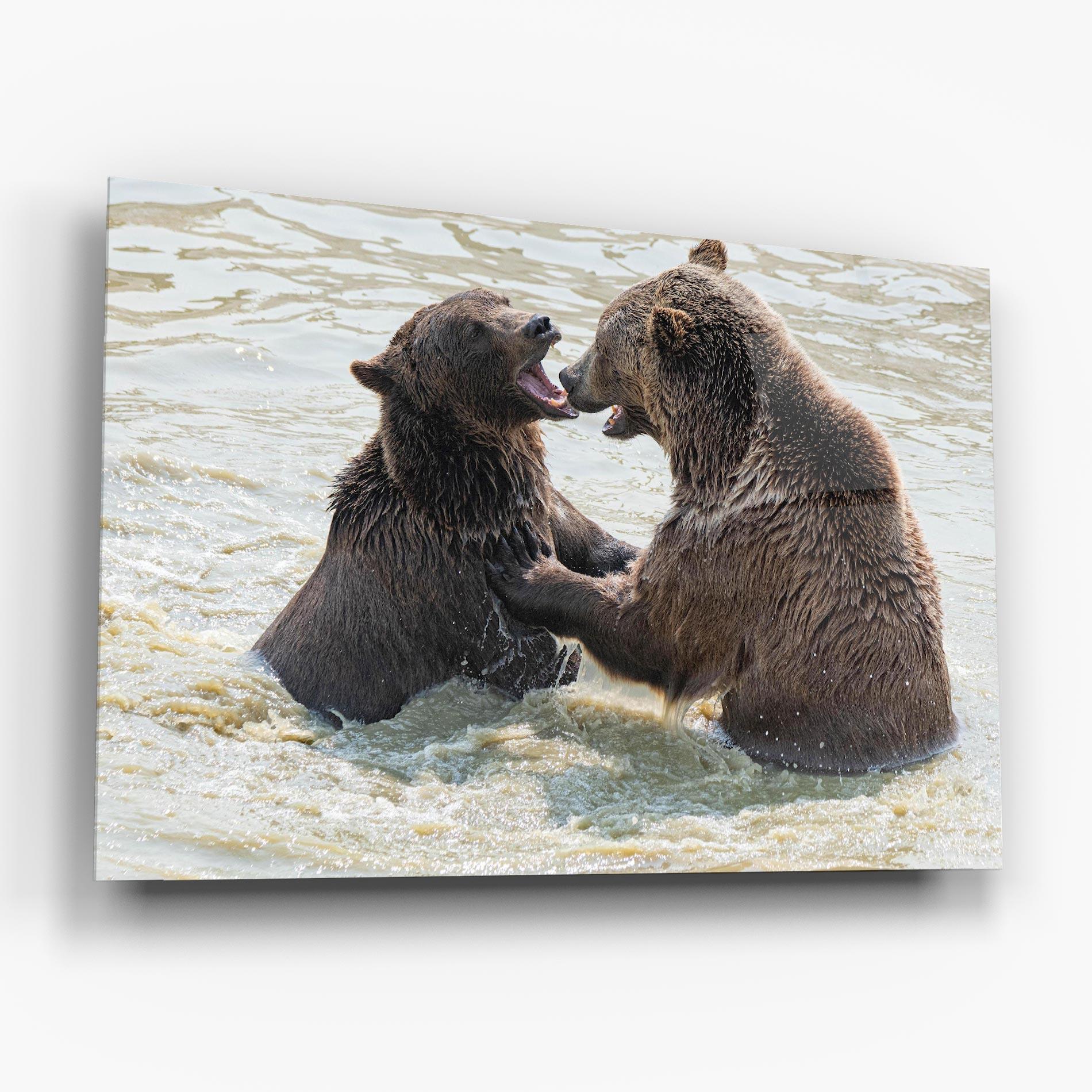 Стъклена картина Bears Fighting mockup 6