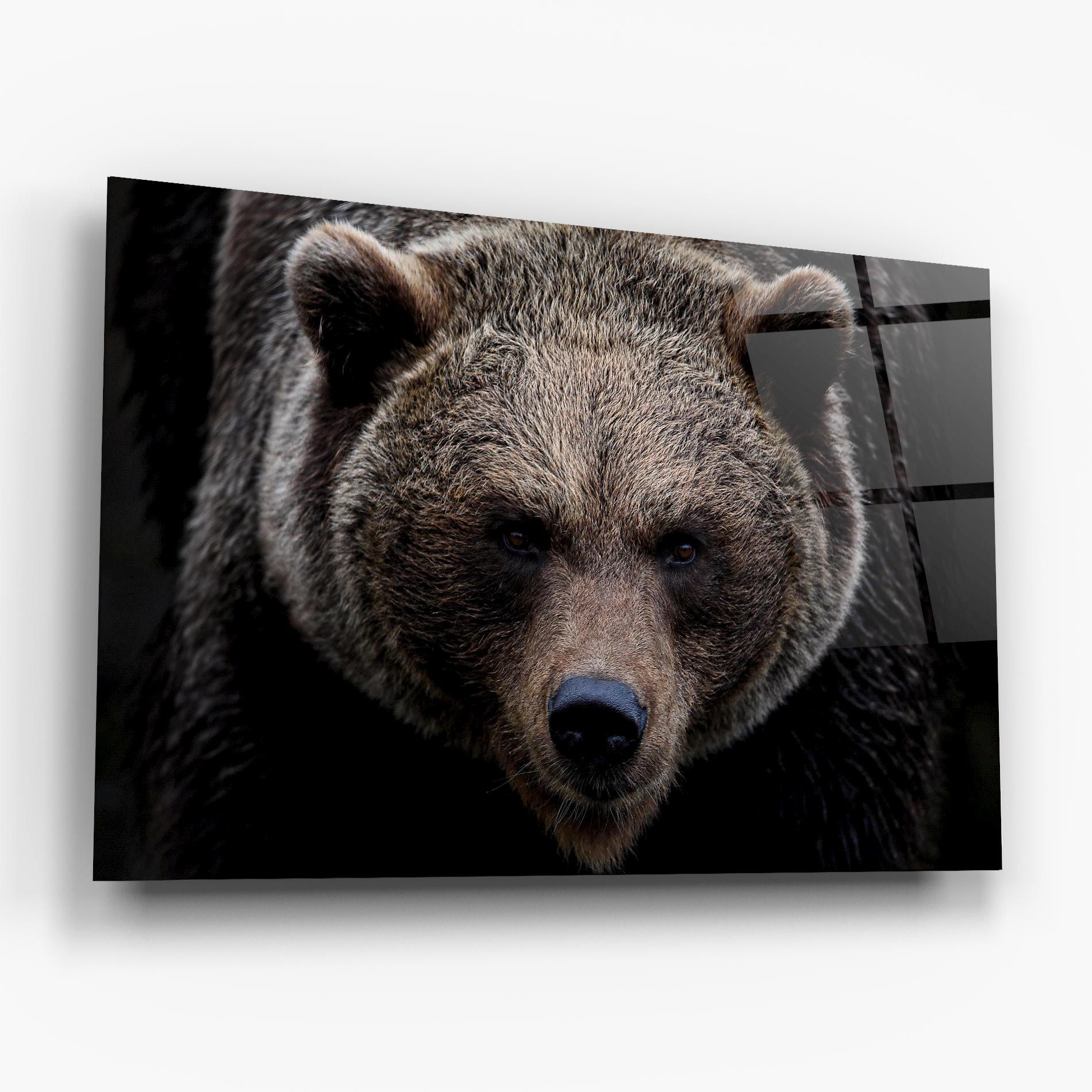 Brown Bear mockup 6