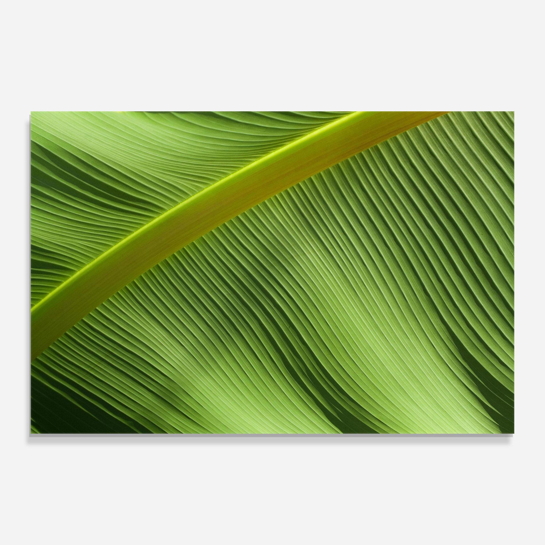 Стъклена картина Leaf Green Close Up mockup 0