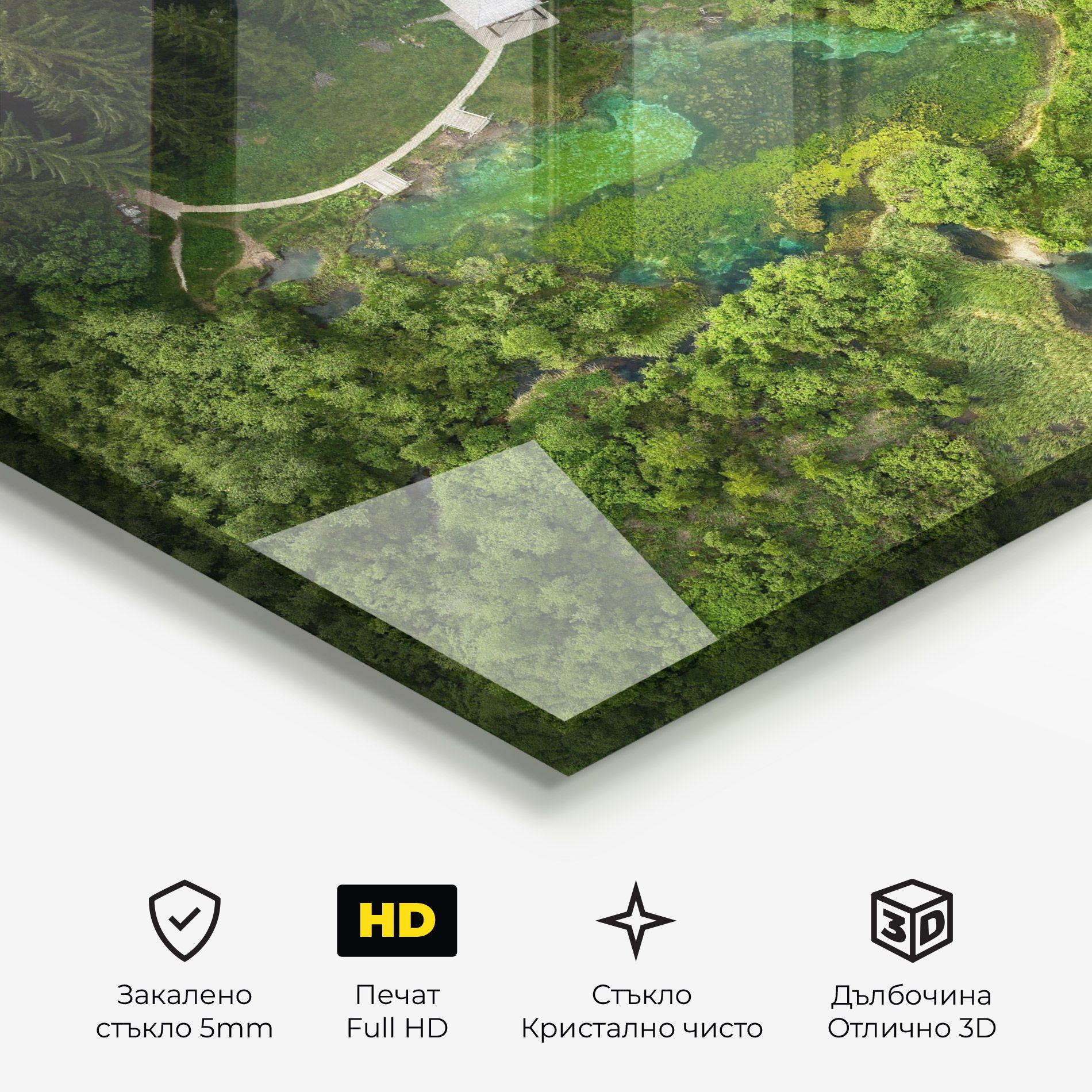 Forest Pretty View mockup 3