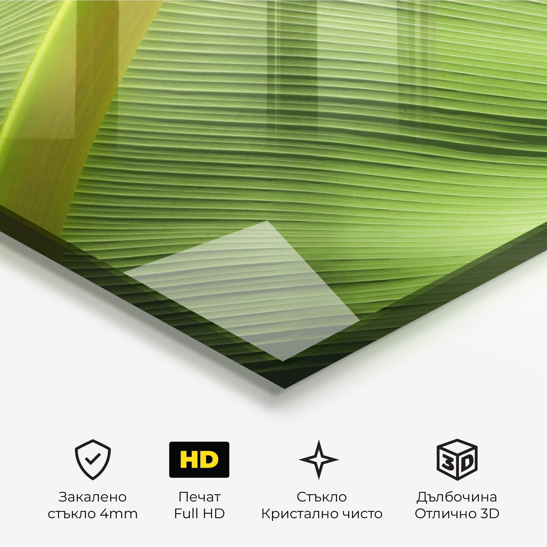 Стъклена картина Leaf Green Close Up mockup 3
