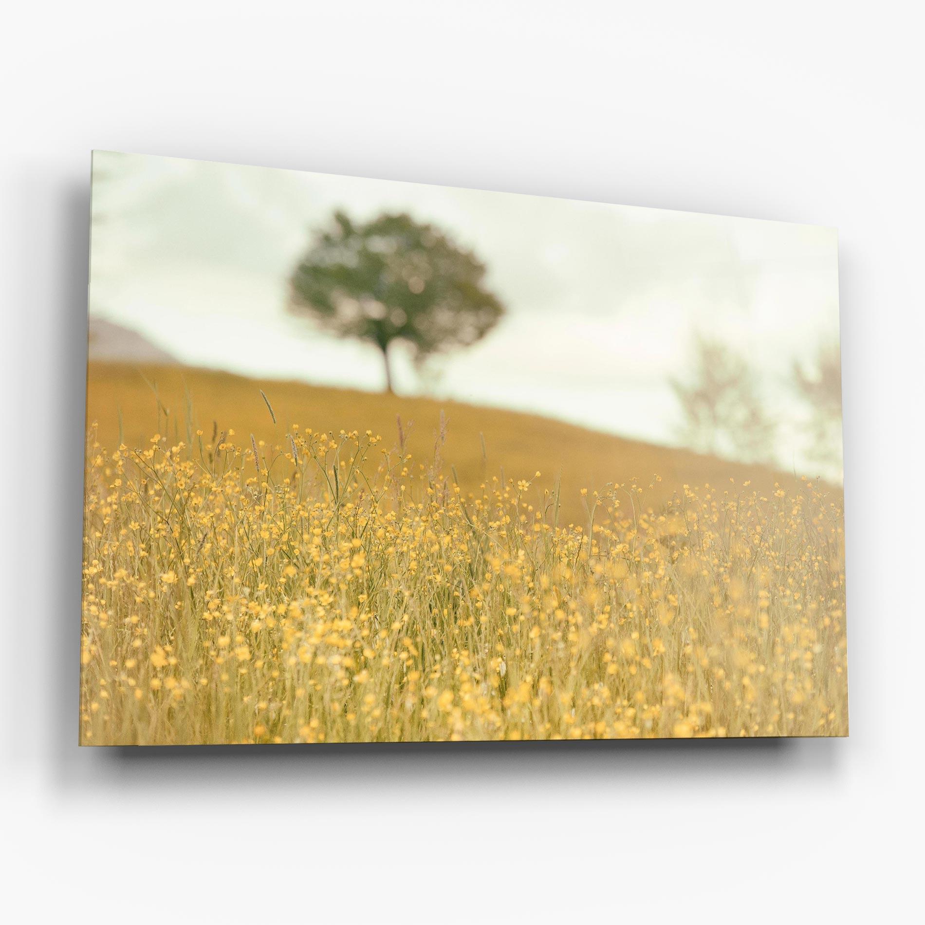 Стъклена картина Cream Field Nature mockup 6