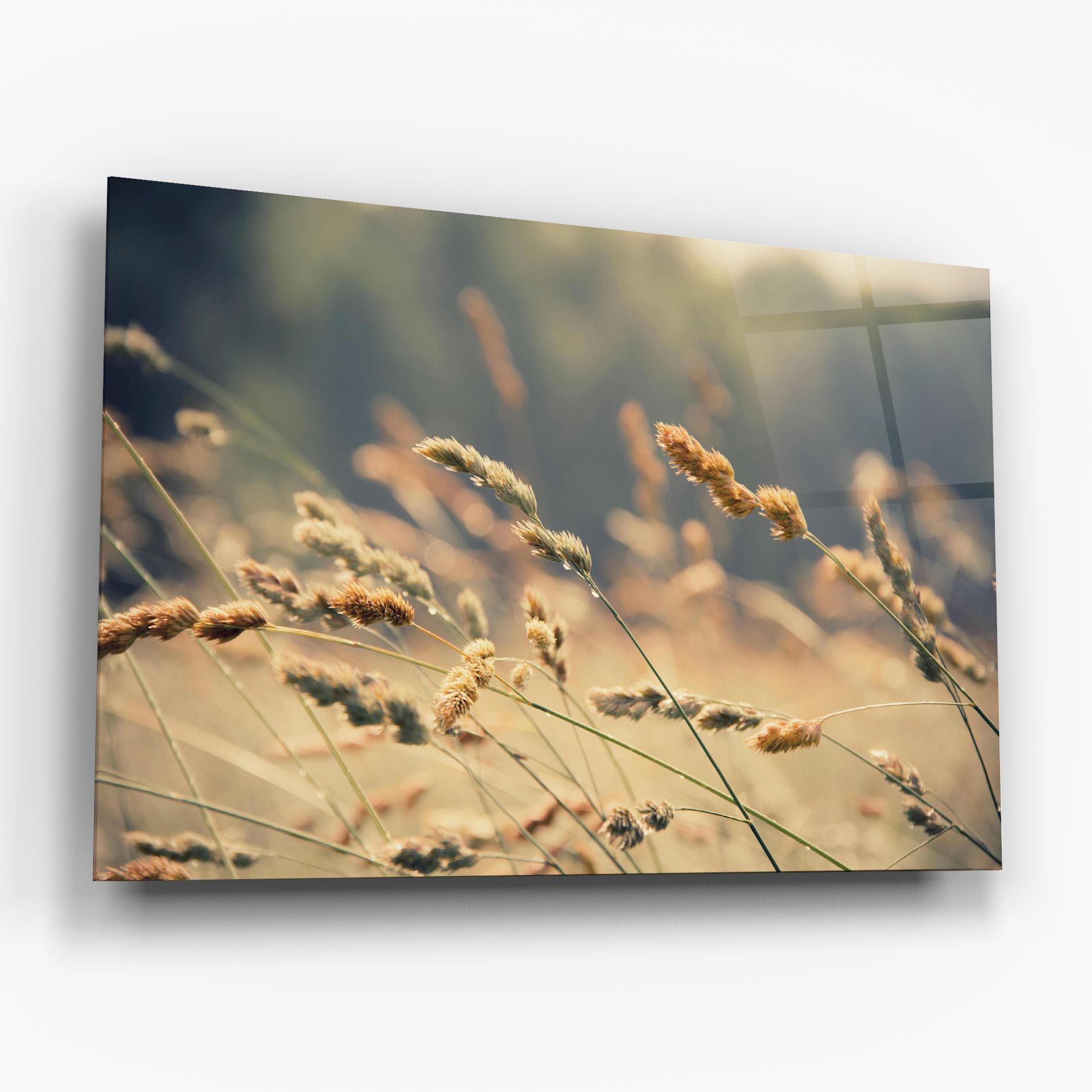 Cream Nature Plants mockup 6