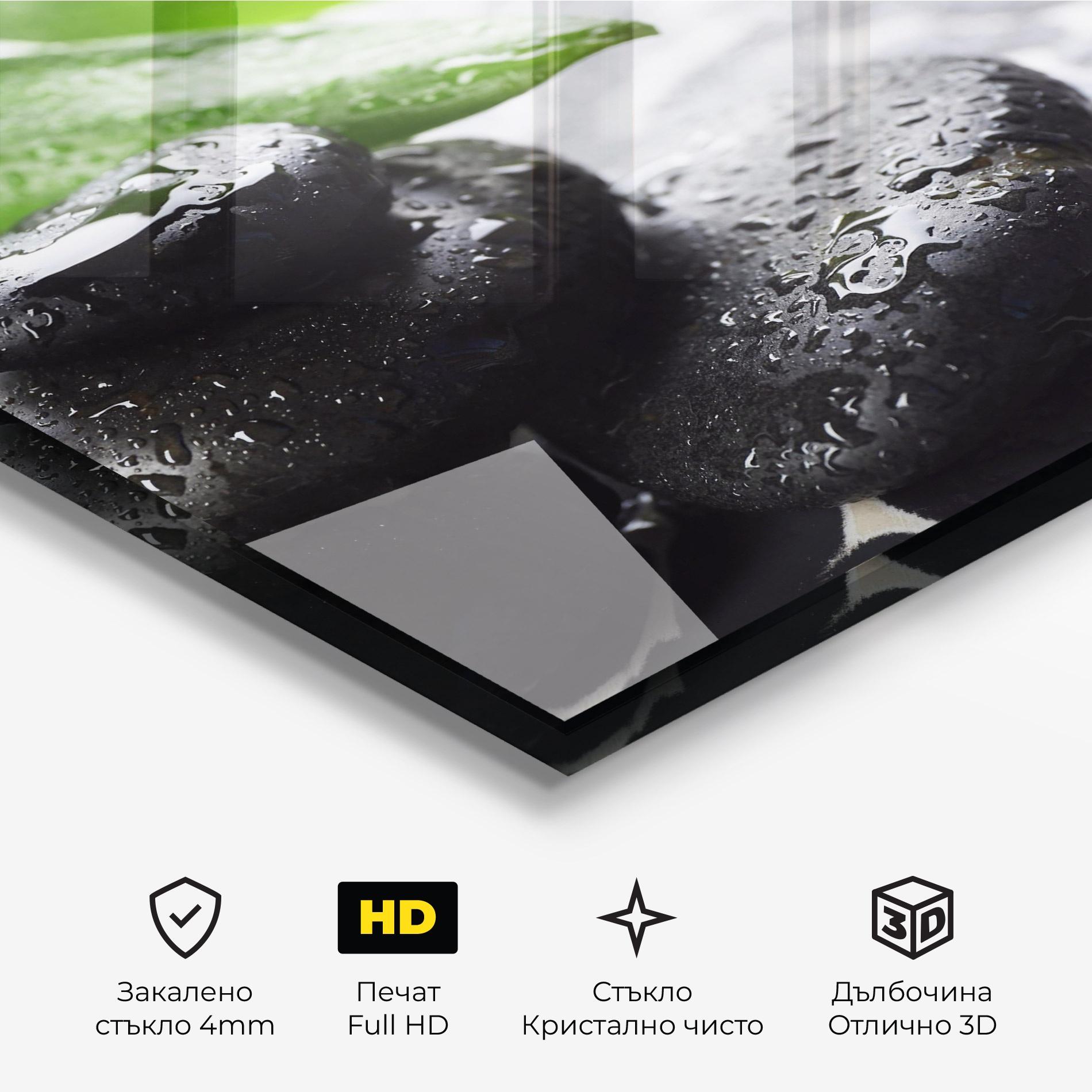 Стъклена картина Bamboo Branch Stones mockup 3