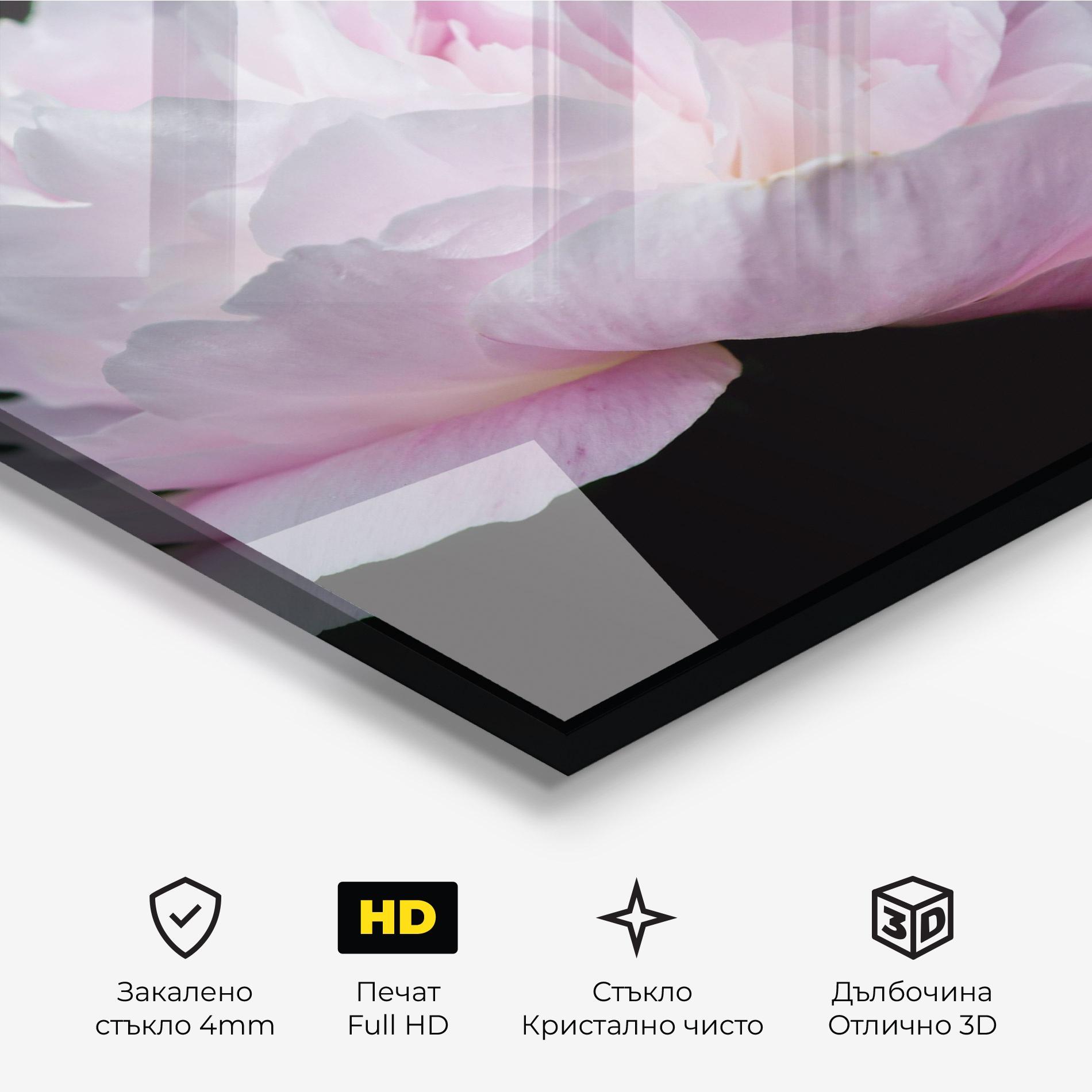 Стъклена картина Pastel Peony On Black mockup 3