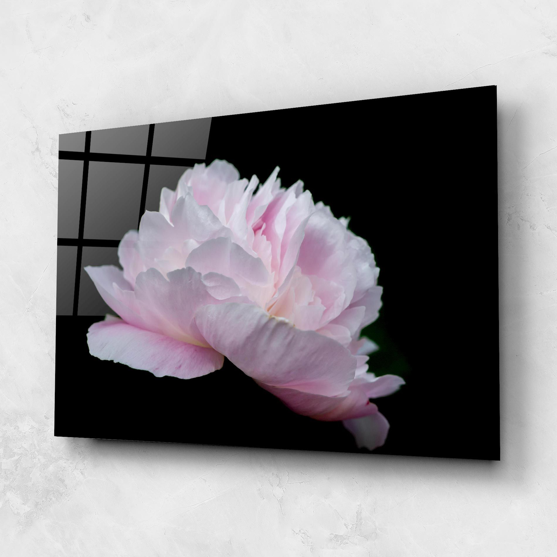Pastel Peony On Black mockup 1