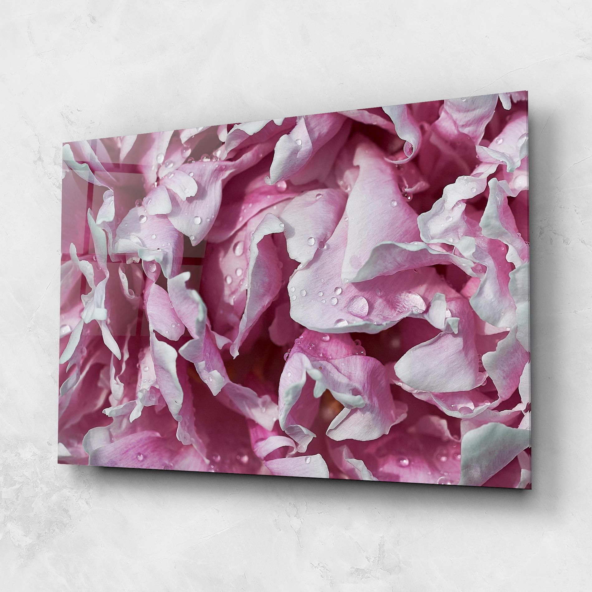 Peony Petals mockup 1