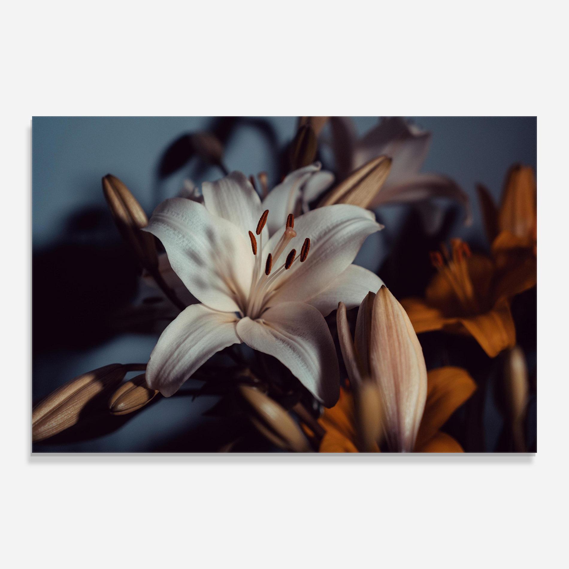 Стъклена картина Cream Lily mockup 0