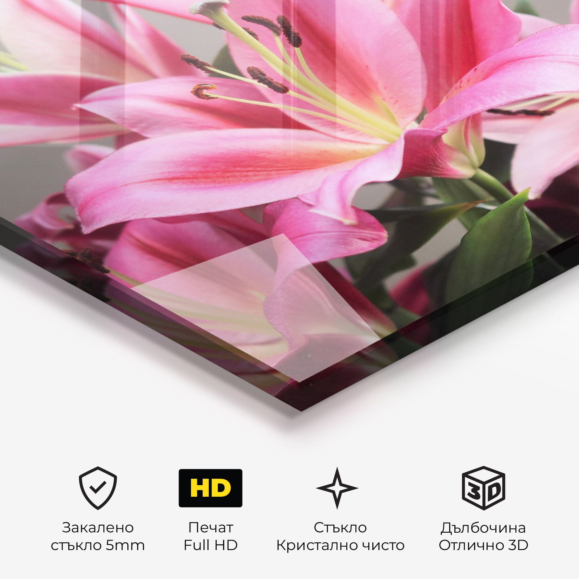 Light Pink Lily View mockup 3