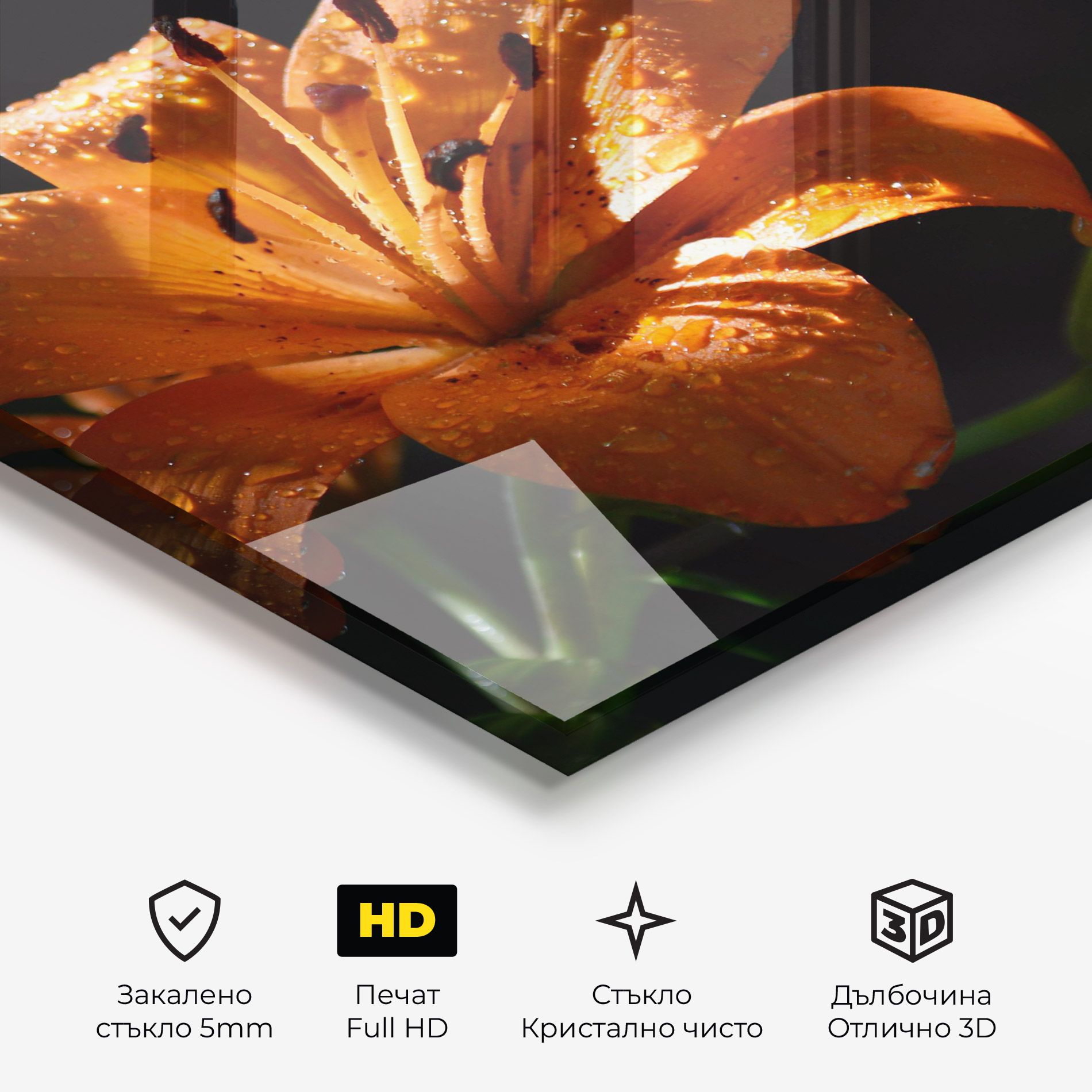 Open Orange Lily On Black mockup 3