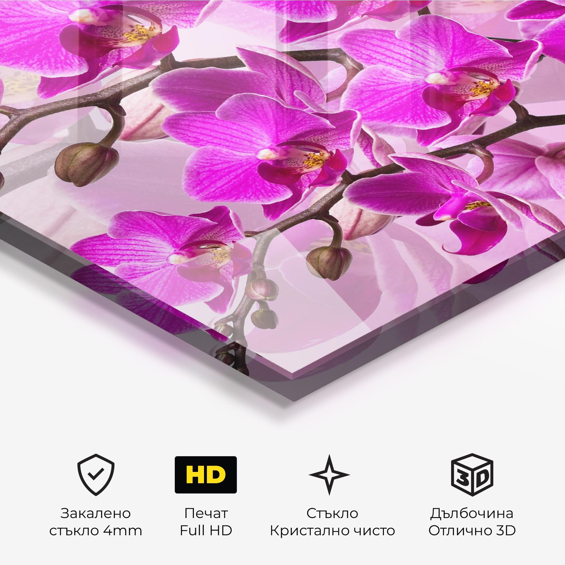 Стъклена картина Flori Roz mockup 3