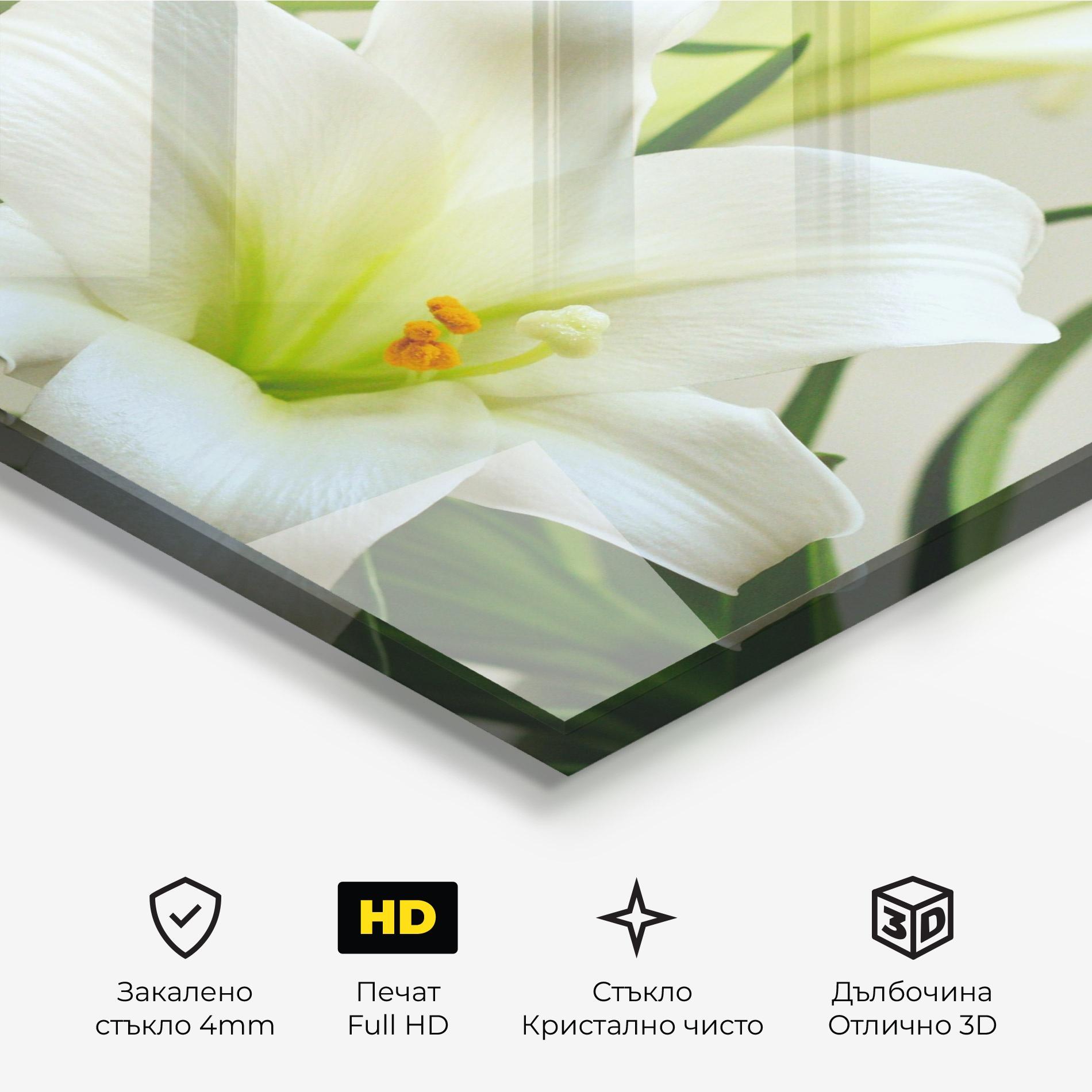 Стъклена картина Green Lily mockup 3