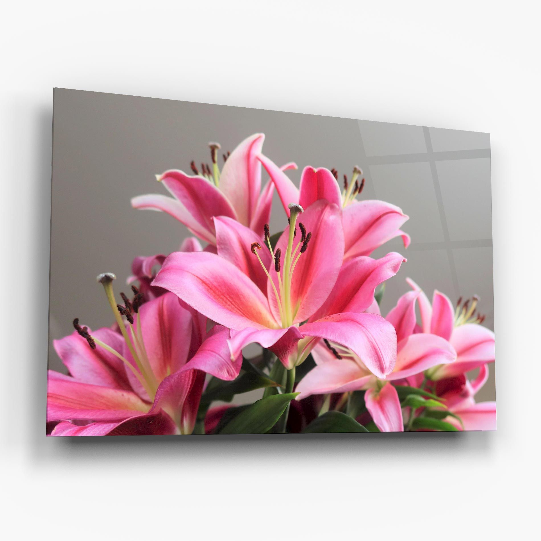 Light Pink Lily View mockup 6
