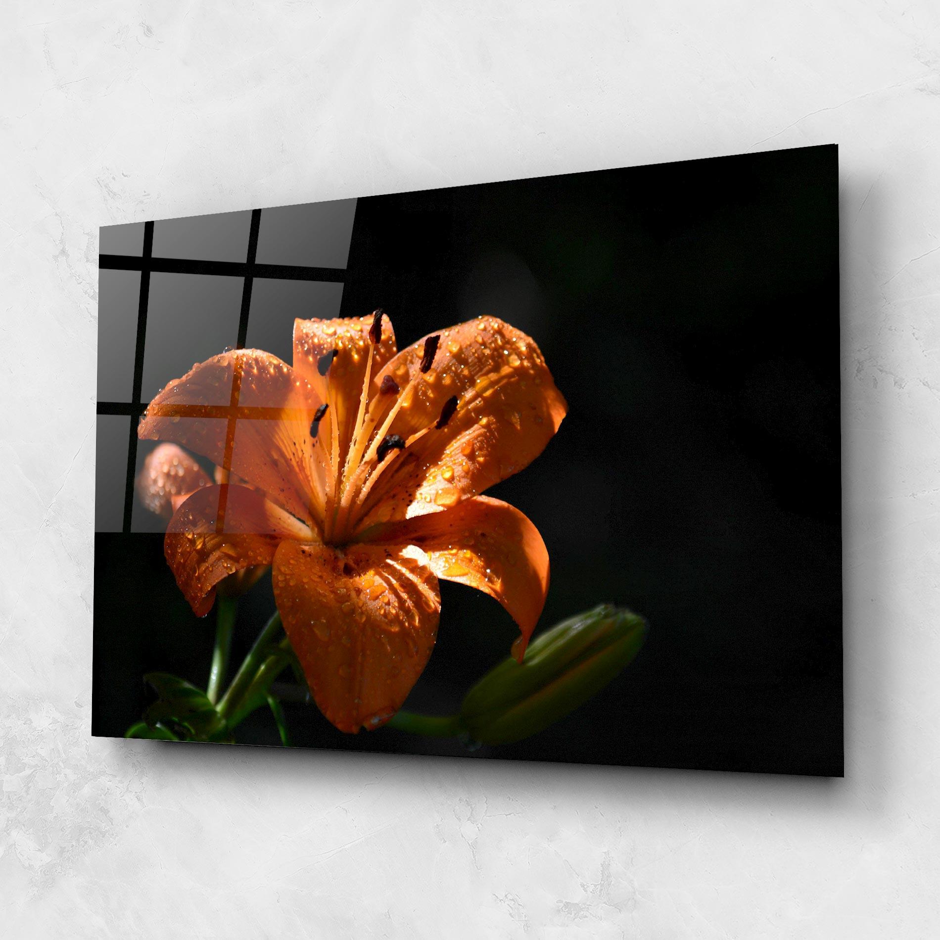Стъклена картина Open Orange Lily On Black mockup 1