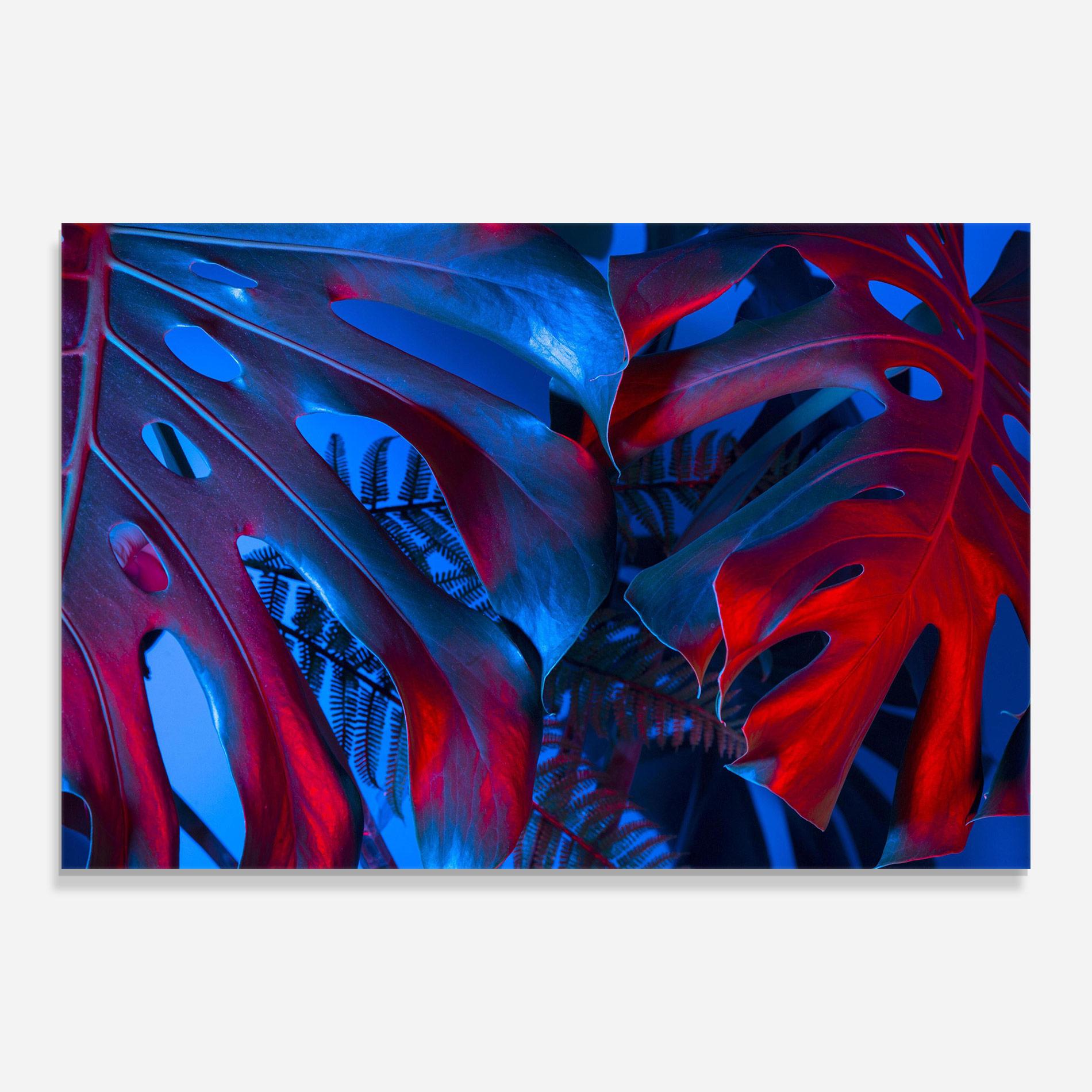 Стъклена картина Exotic Blue Leaf mockup 0