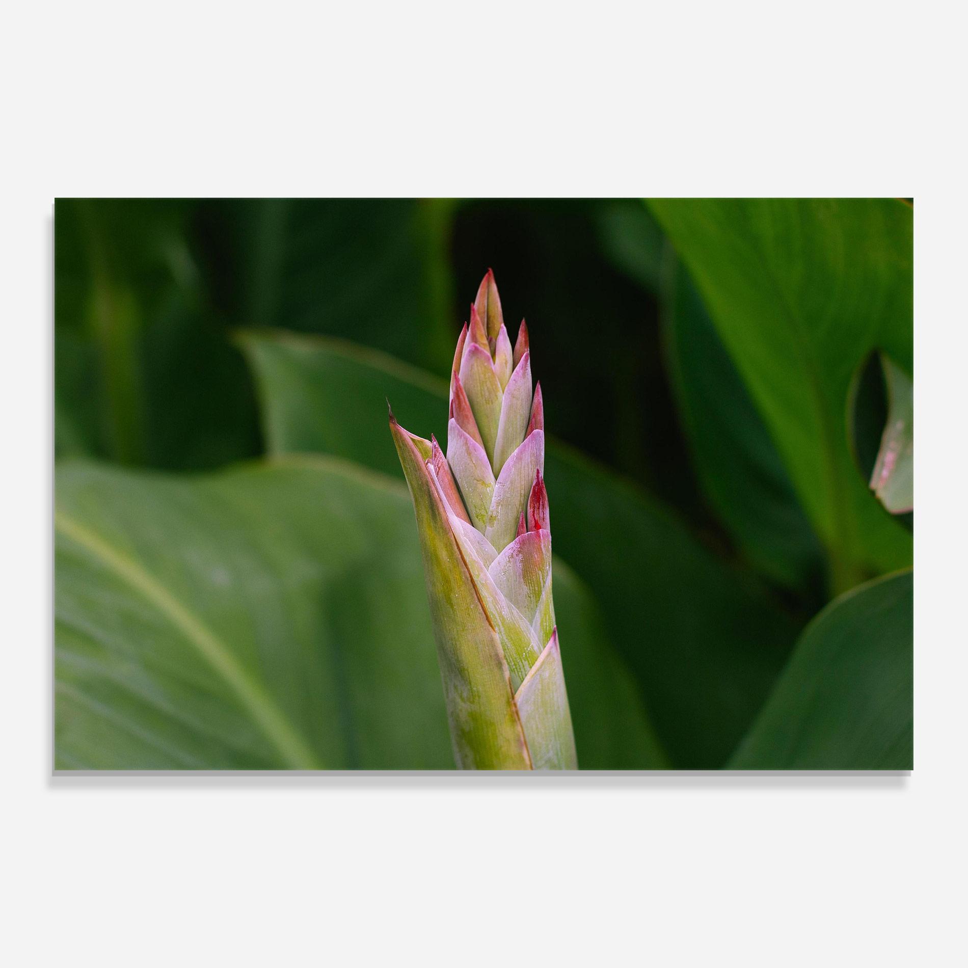 Стъклена картина Light Pink Exotic mockup 0