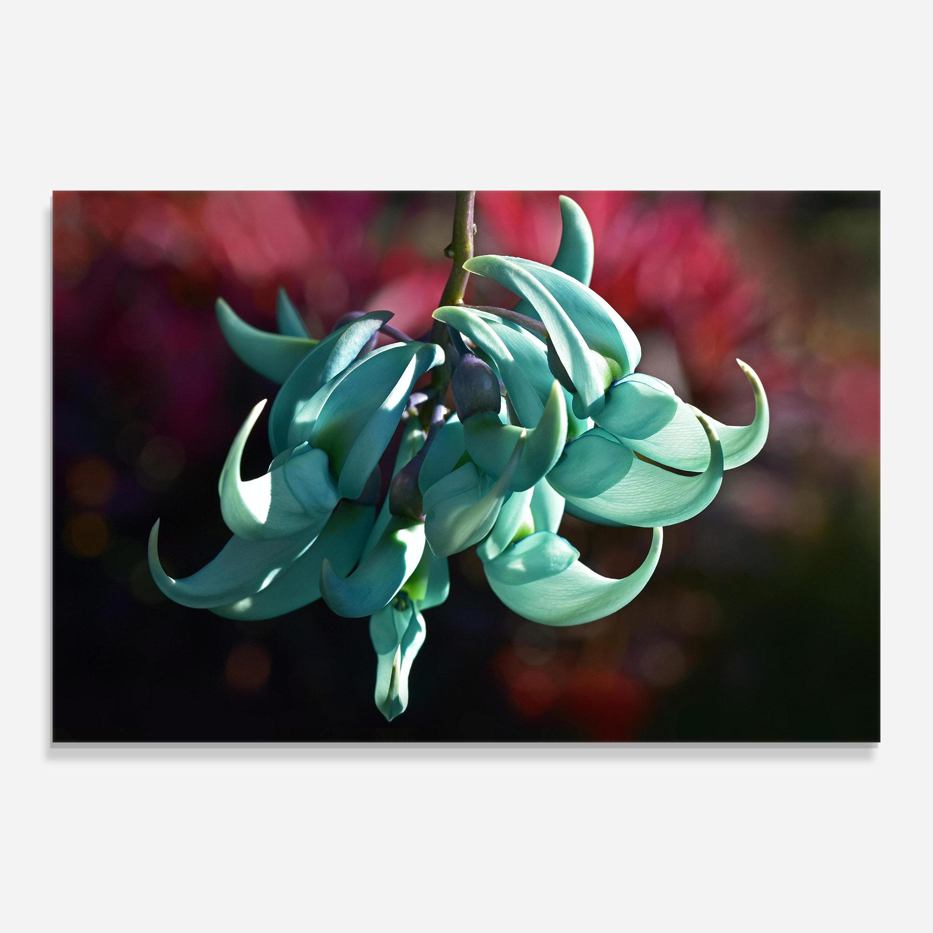 Стъклена картина Pastel Green Plant mockup 0