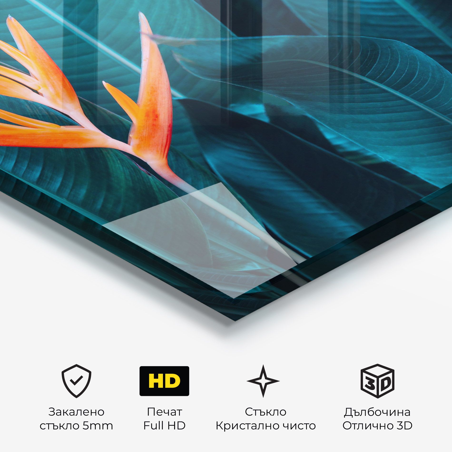 Orange Green Exotic mockup 3