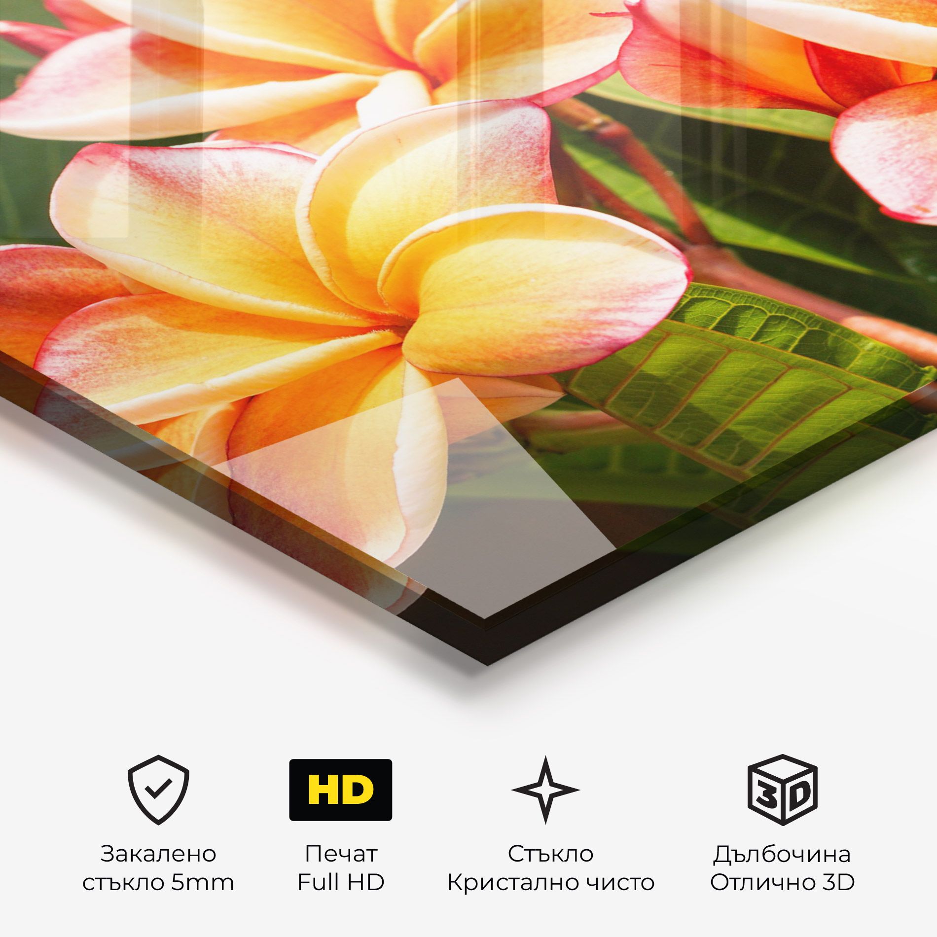 Pretty Plumeria mockup 3