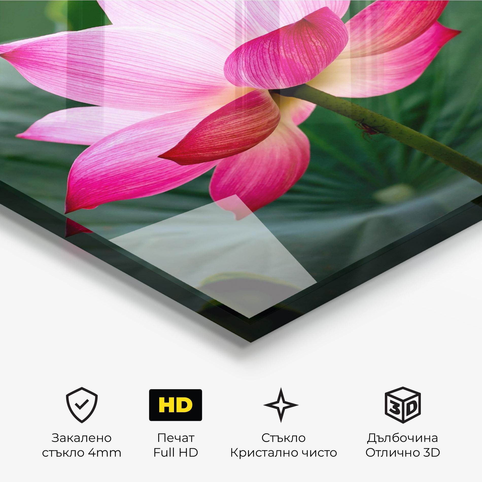 Стъклена картина Beautiful Pink Exotic mockup 3