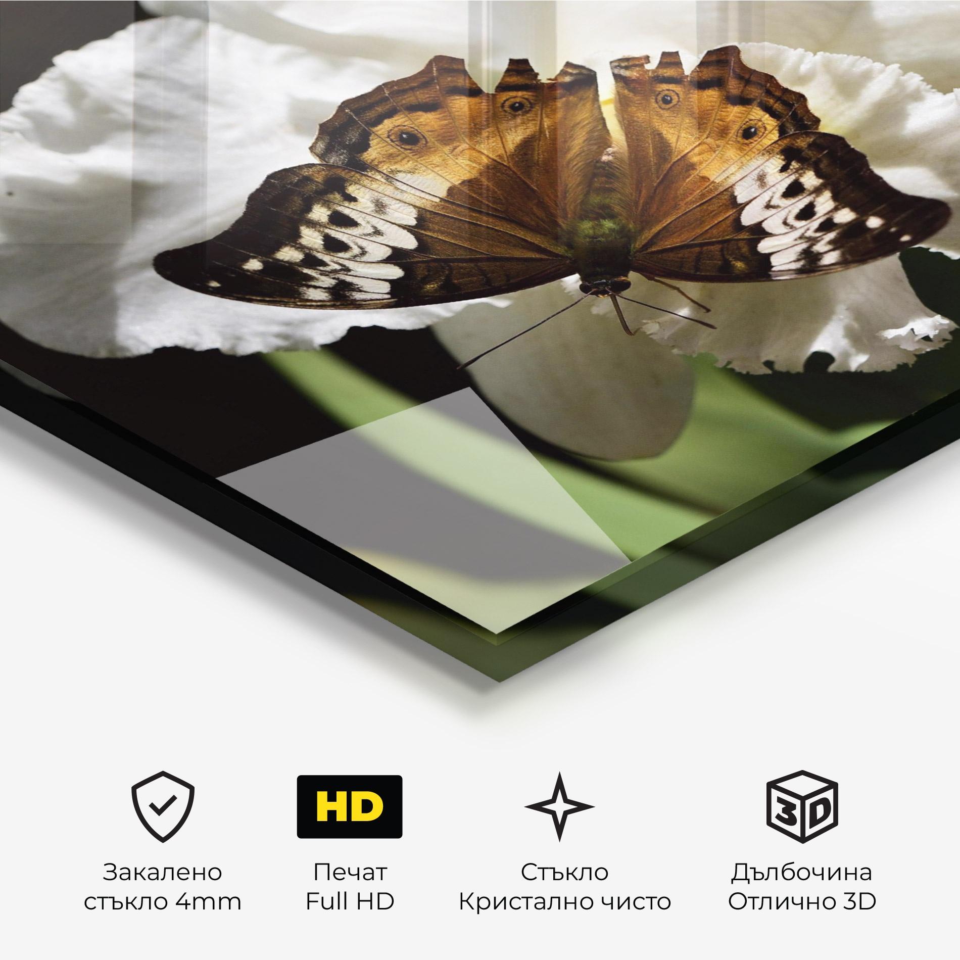 Стъклена картина Butterfly Exotic Plant mockup 3