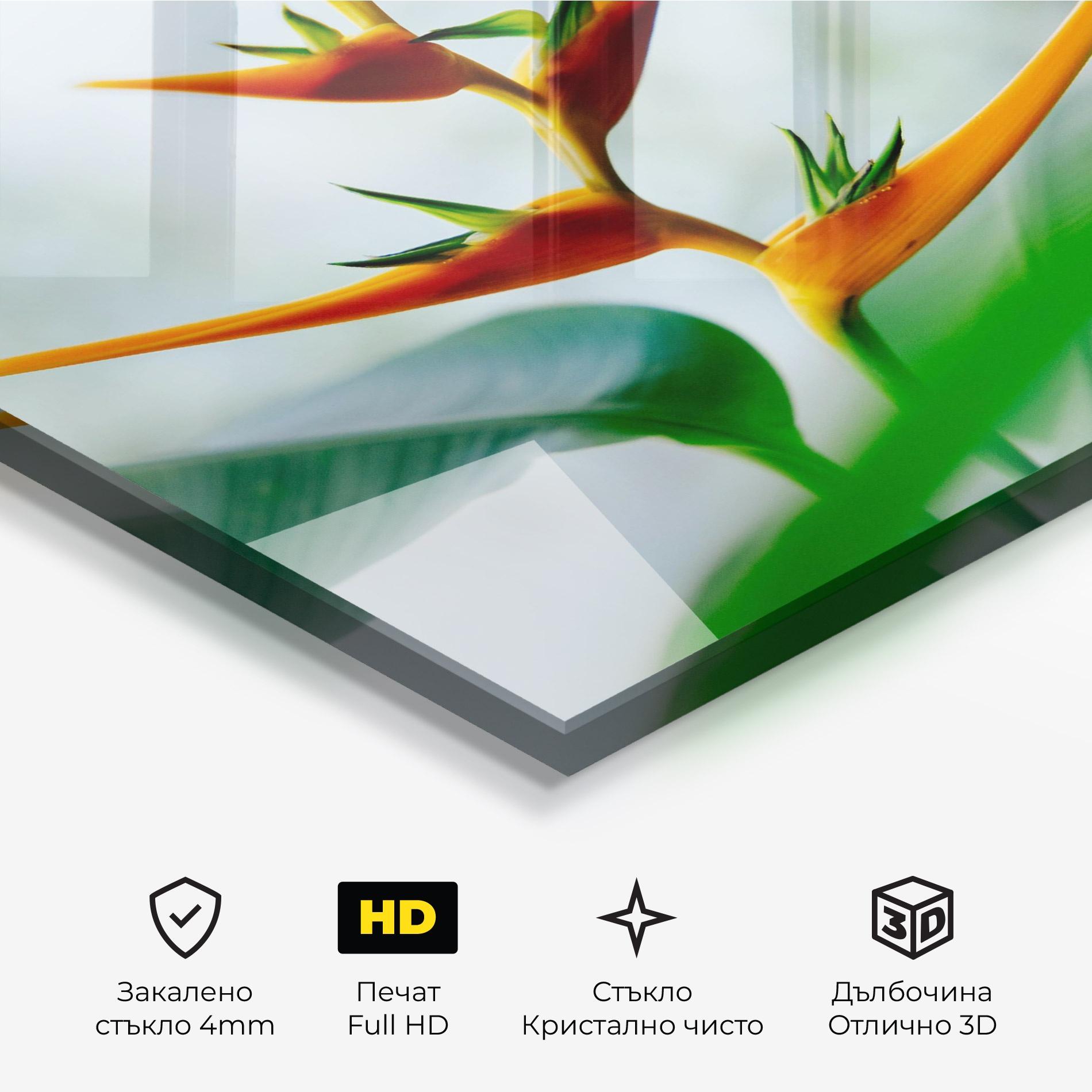 Стъклена картина Exotic Orange Green mockup 3