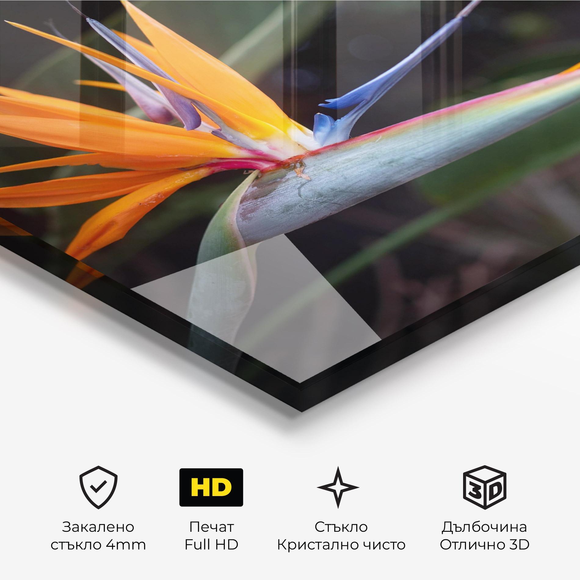 Стъклена картина Paradise Plant mockup 3