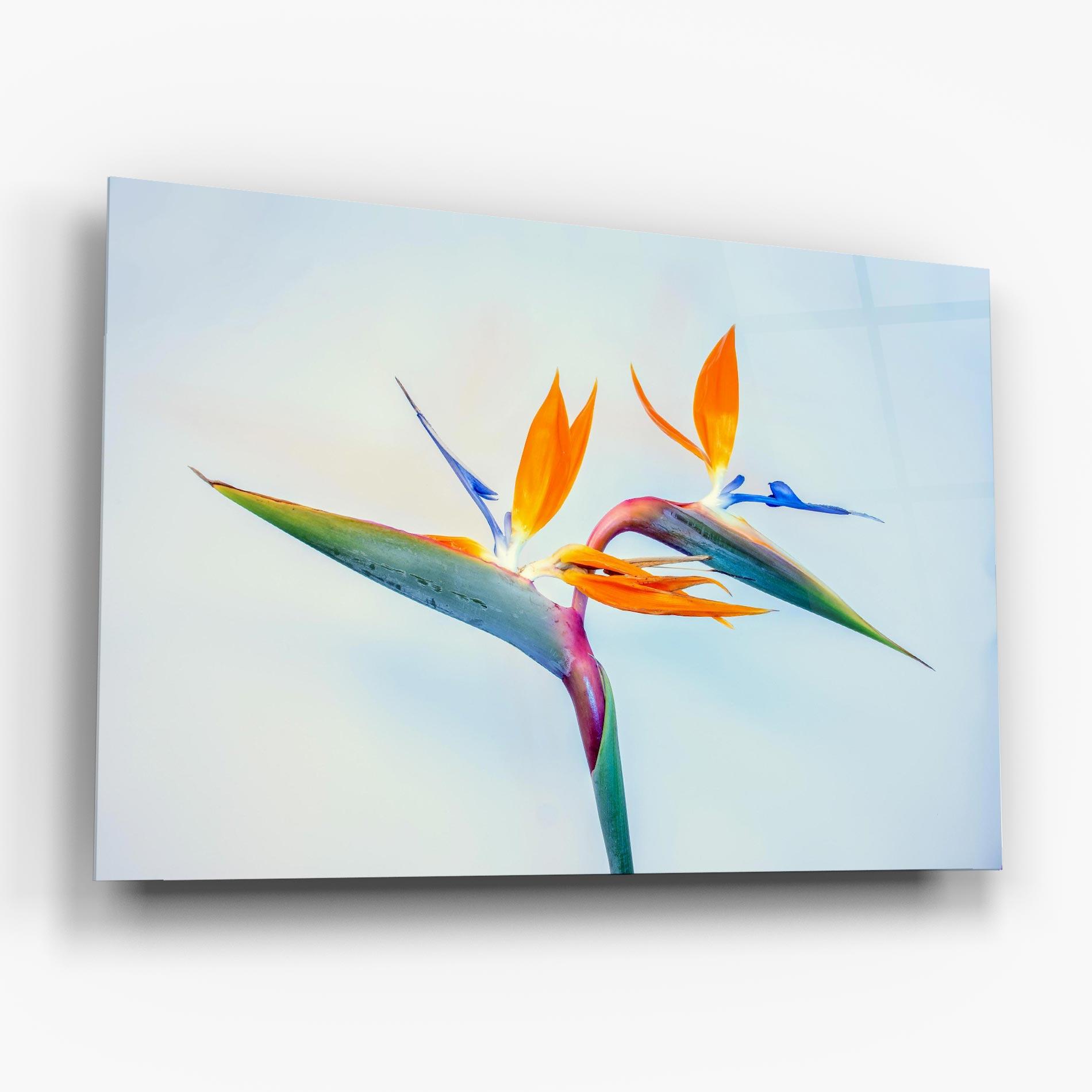 Стъклена картина Green Orange Exotic mockup 6