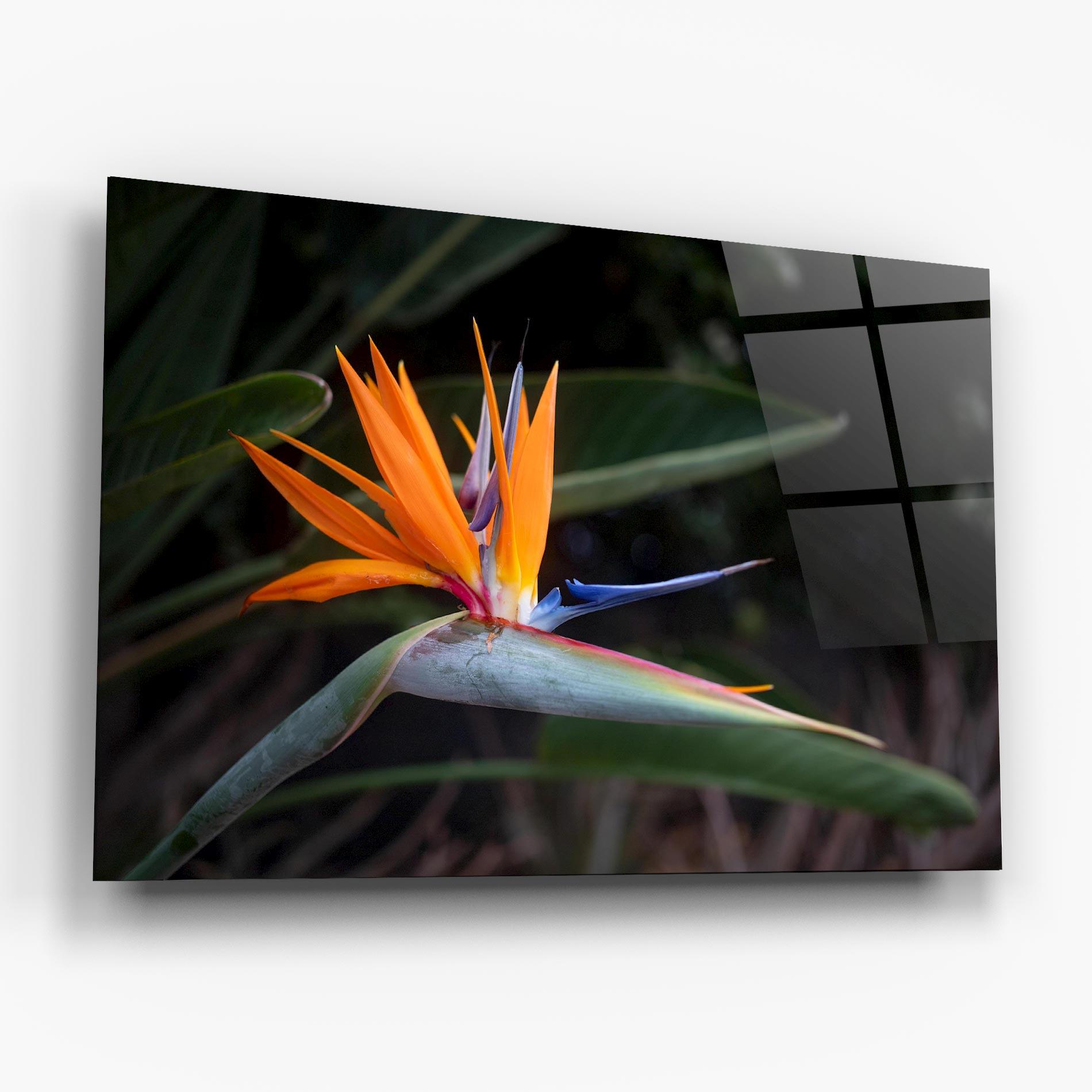 Стъклена картина Paradise Plant mockup 6