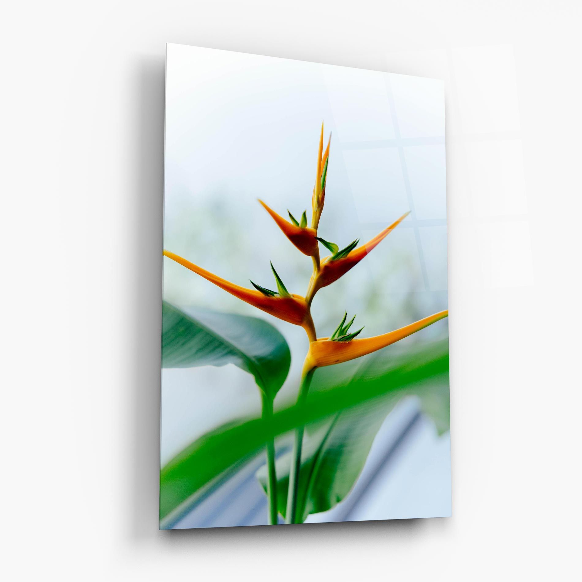 Exotic Orange Green mockup 6