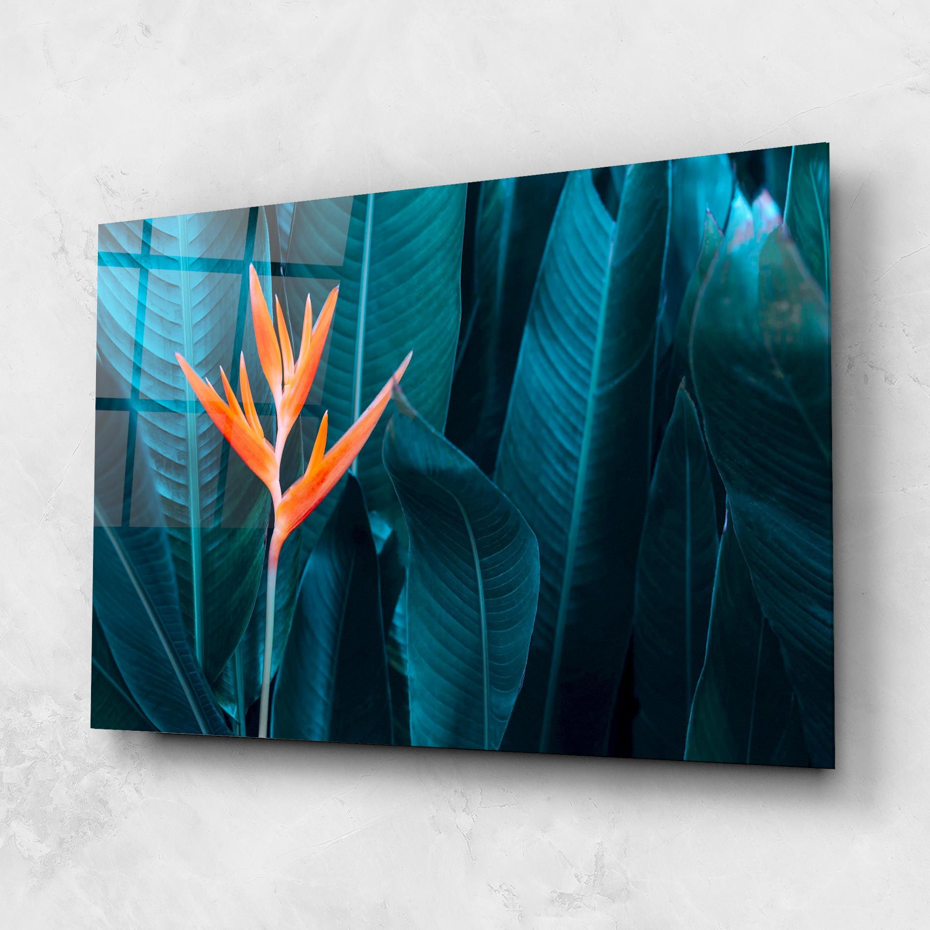Orange Green Exotic mockup 1