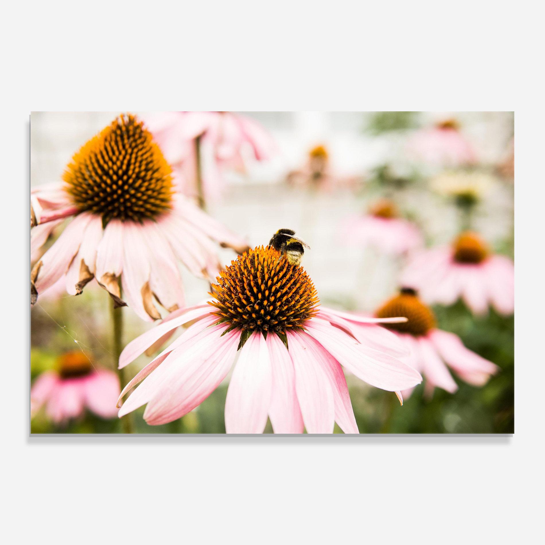 Стъклена картина Daylight Flower mockup 0
