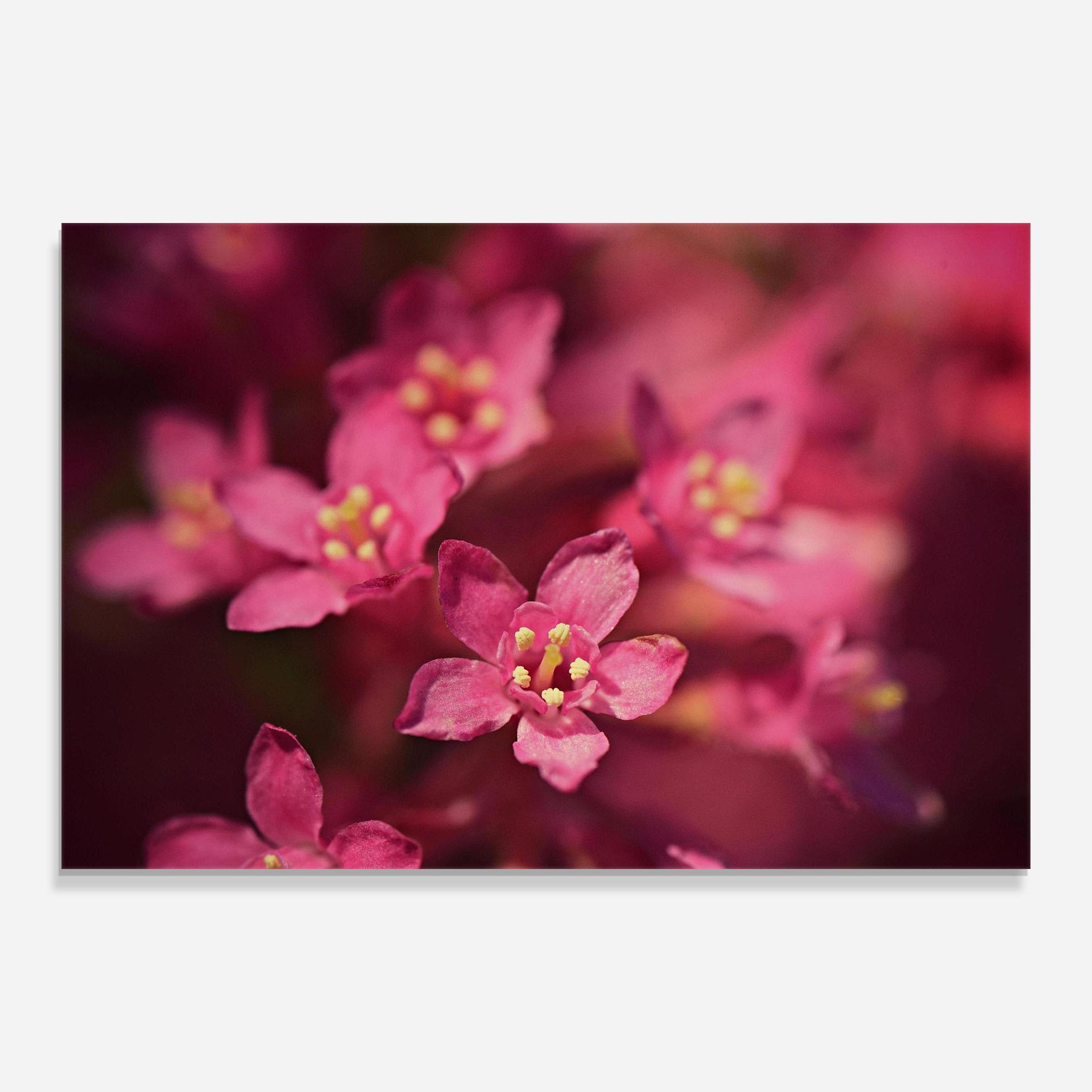 Стъклена картина Flower Background mockup 0