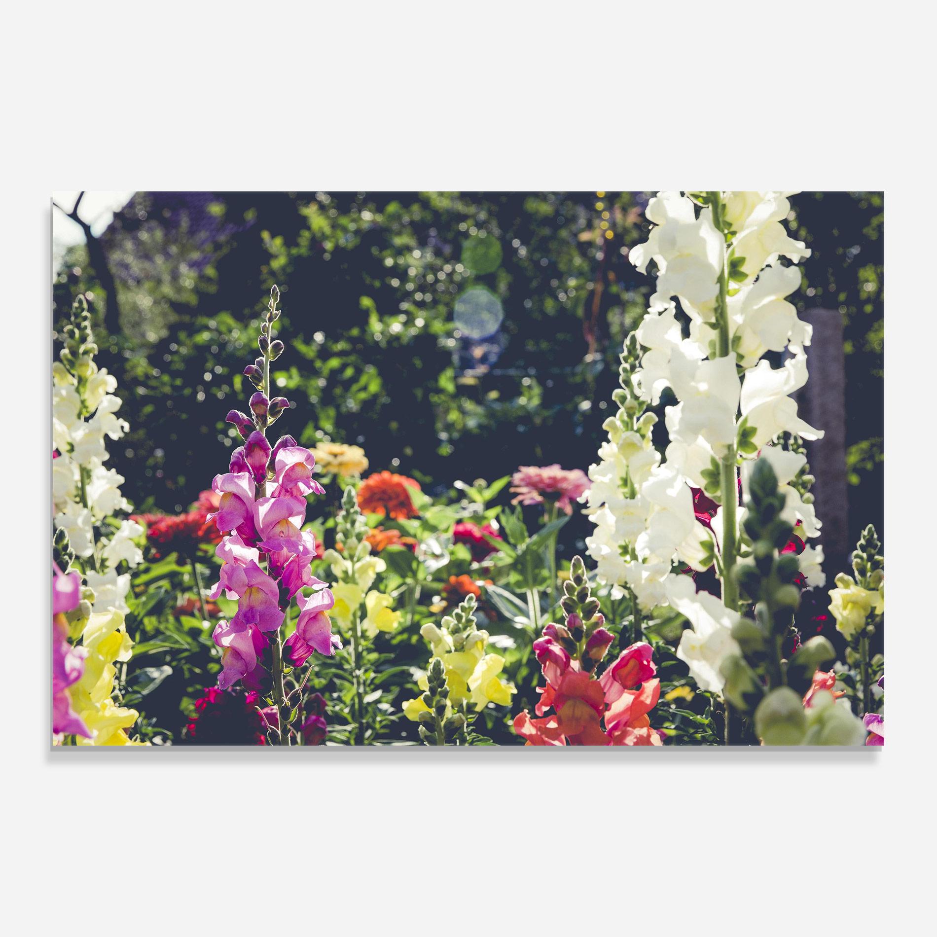 Стъклена картина Garden Pretty Flowers mockup 0