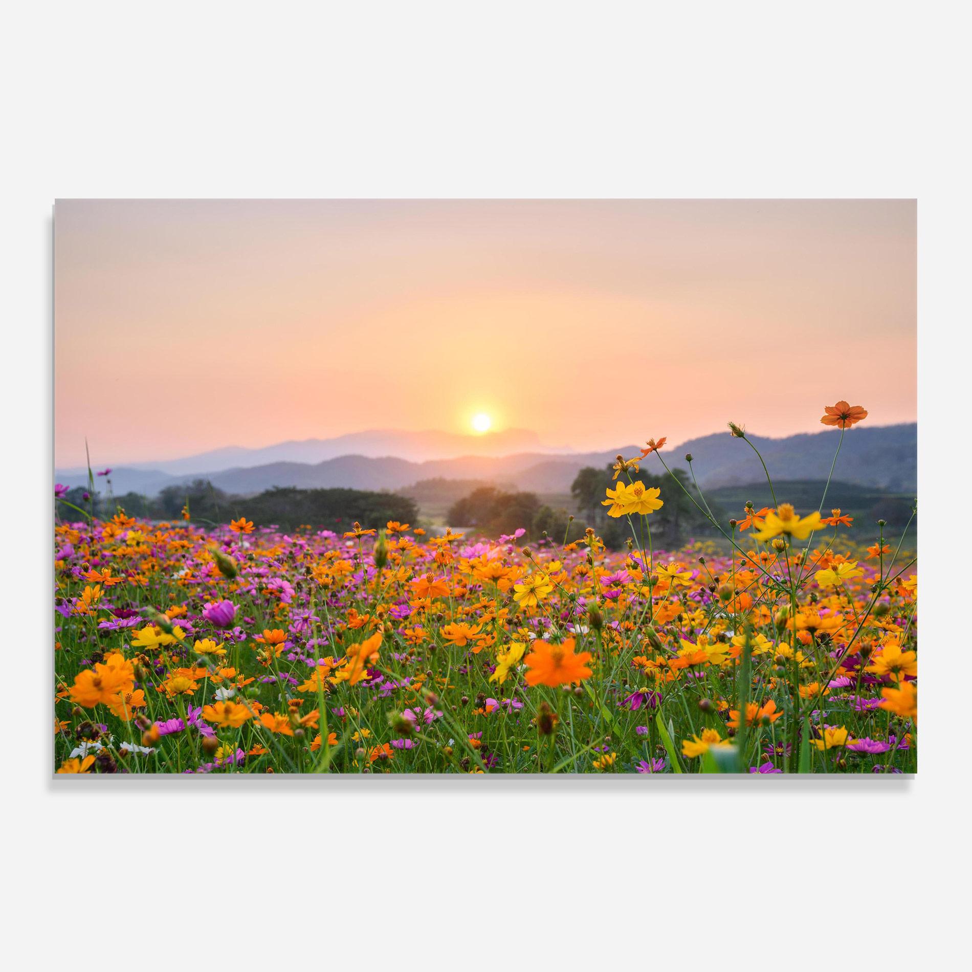 Стъклена картина Sunset Mountain Flowerf mockup 0
