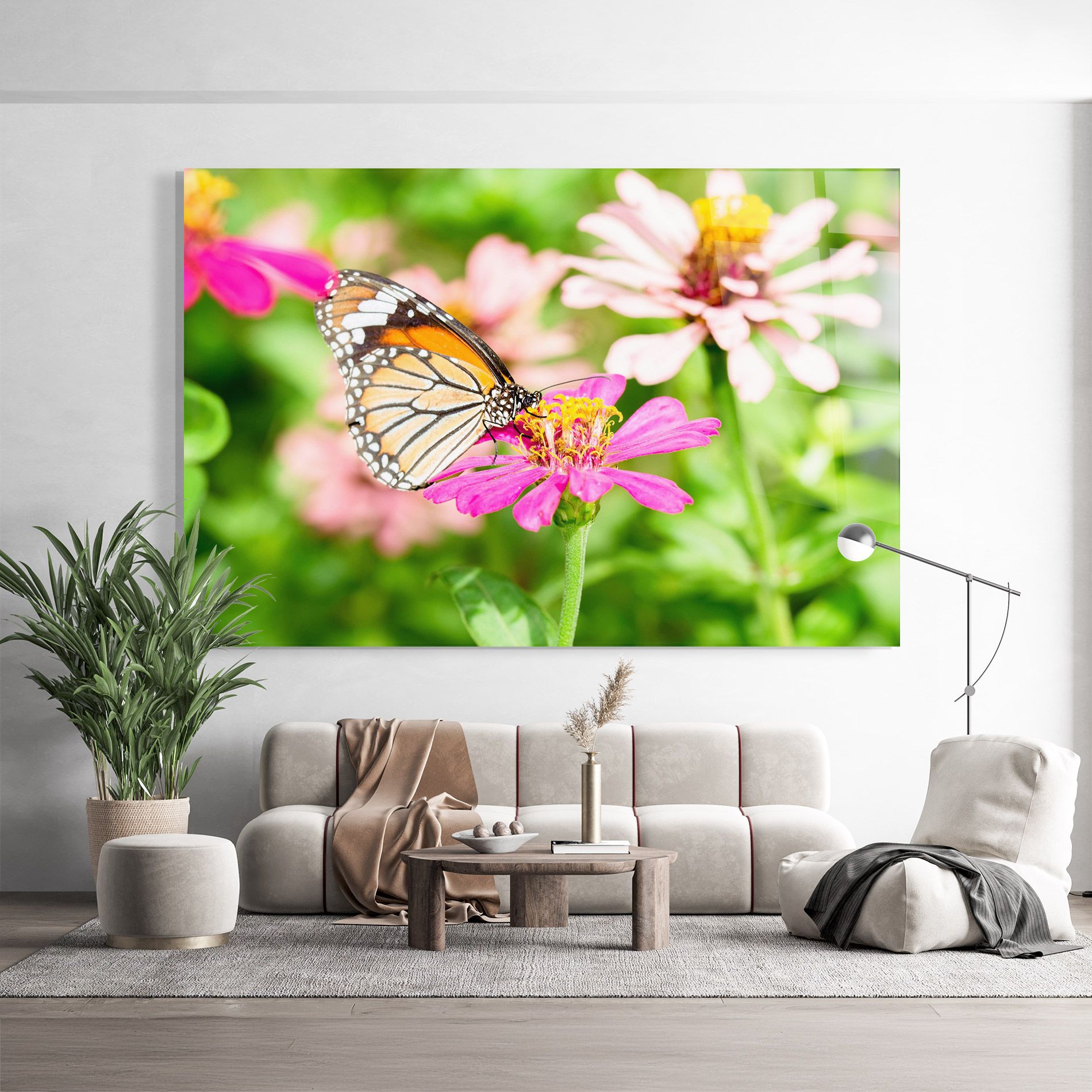 Daylight Butterfly mockup 9