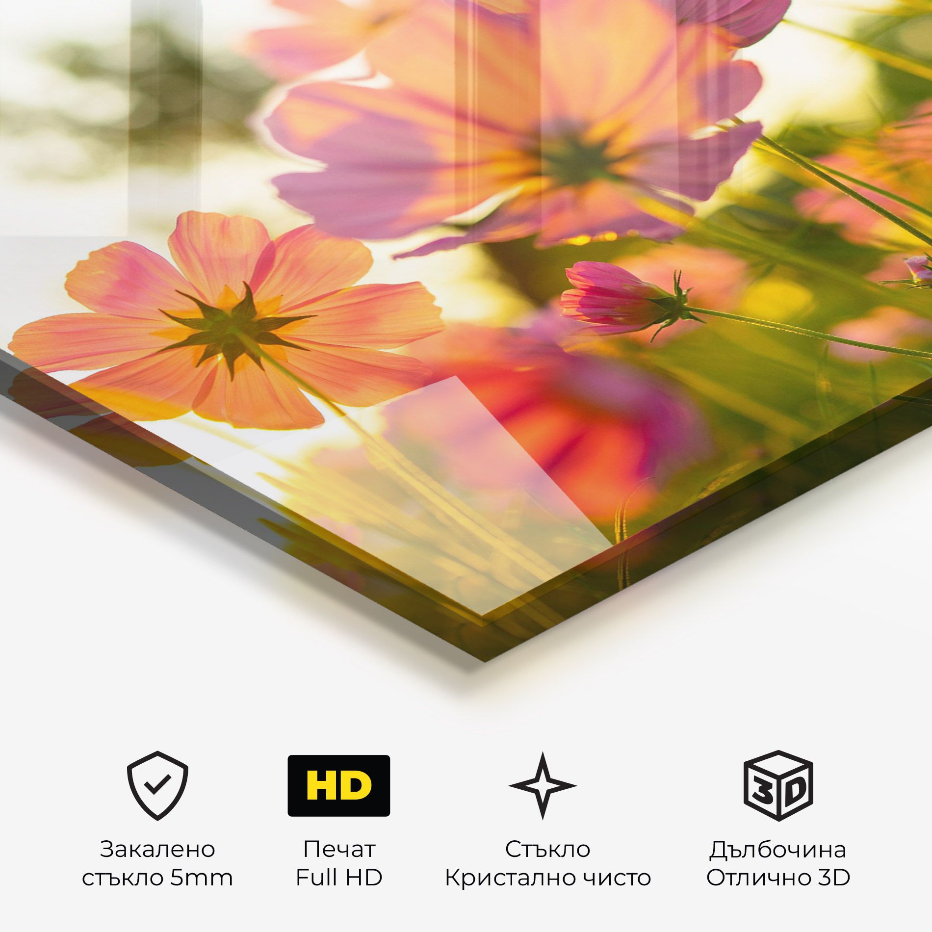 Sunset Blooming Flower mockup 3