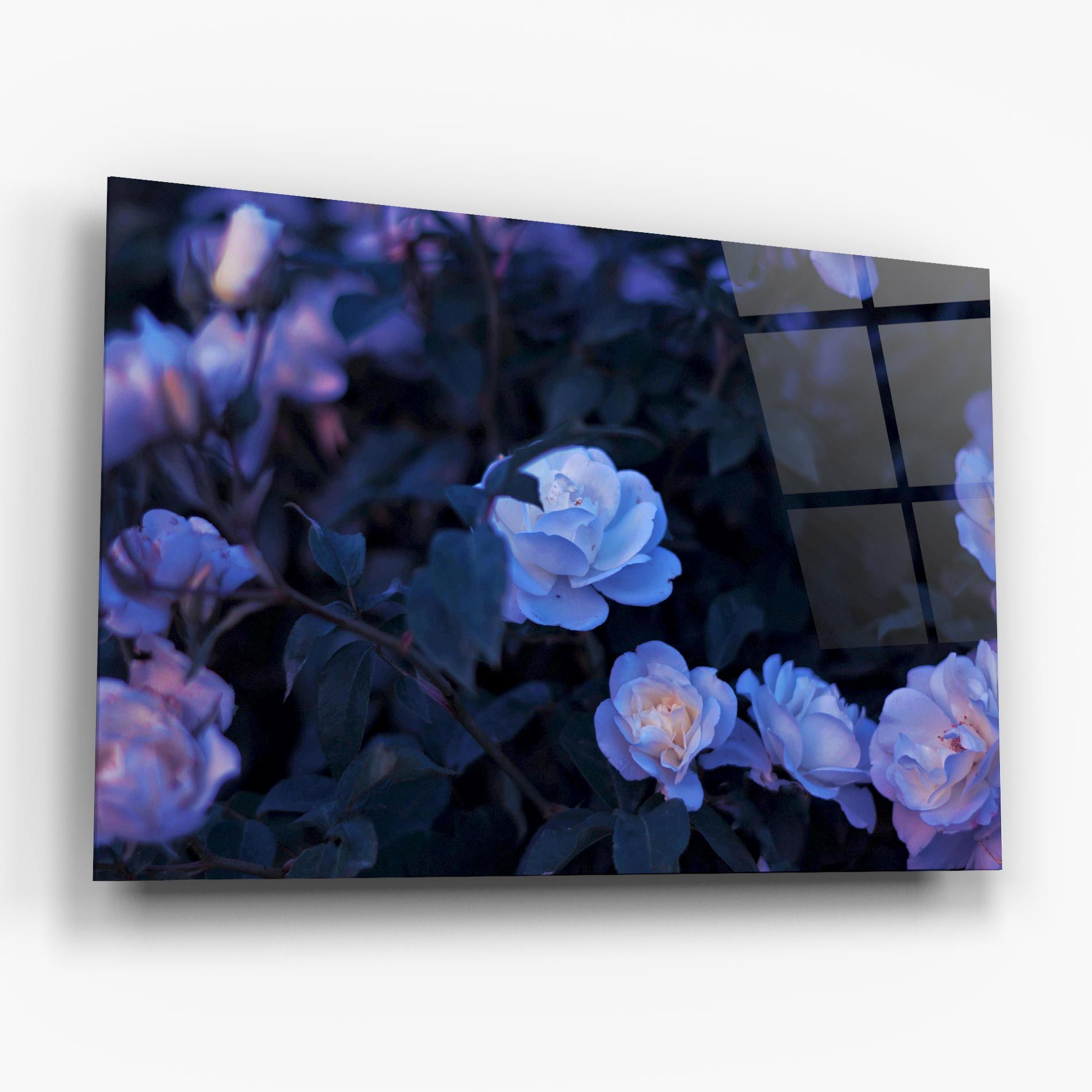 Blue Light Rose mockup 6
