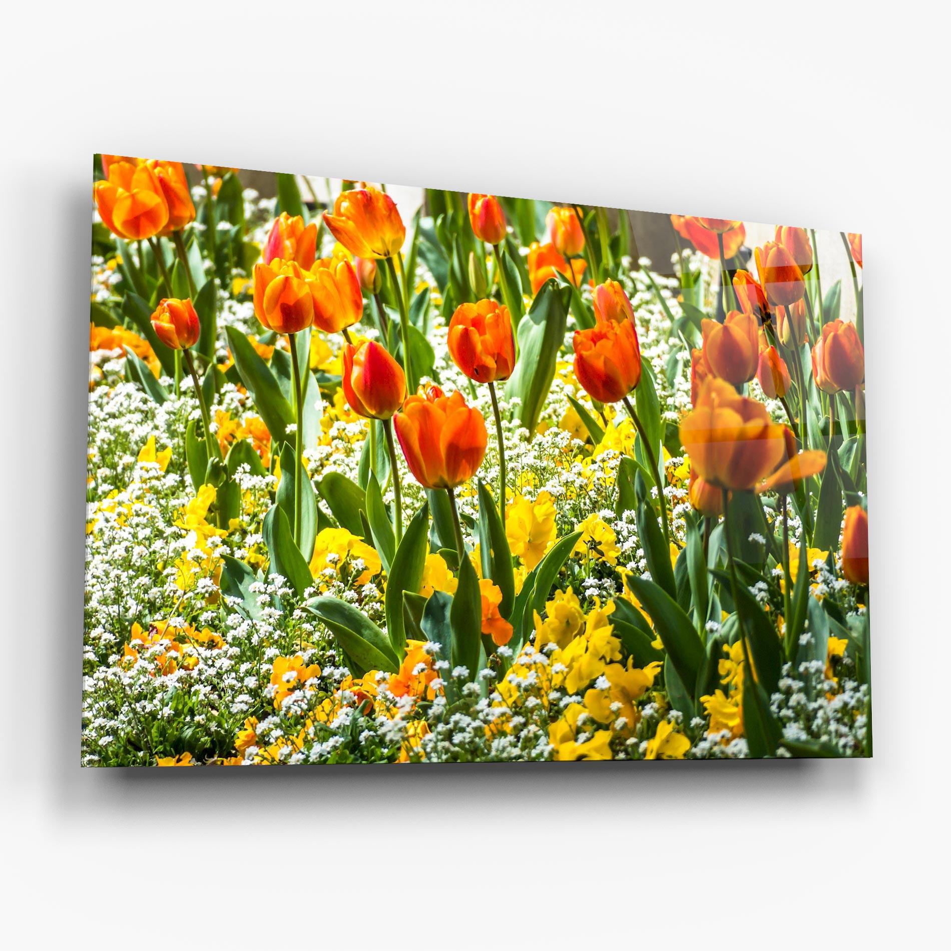 Стъклена картина Colorful Tulips Garden mockup 6