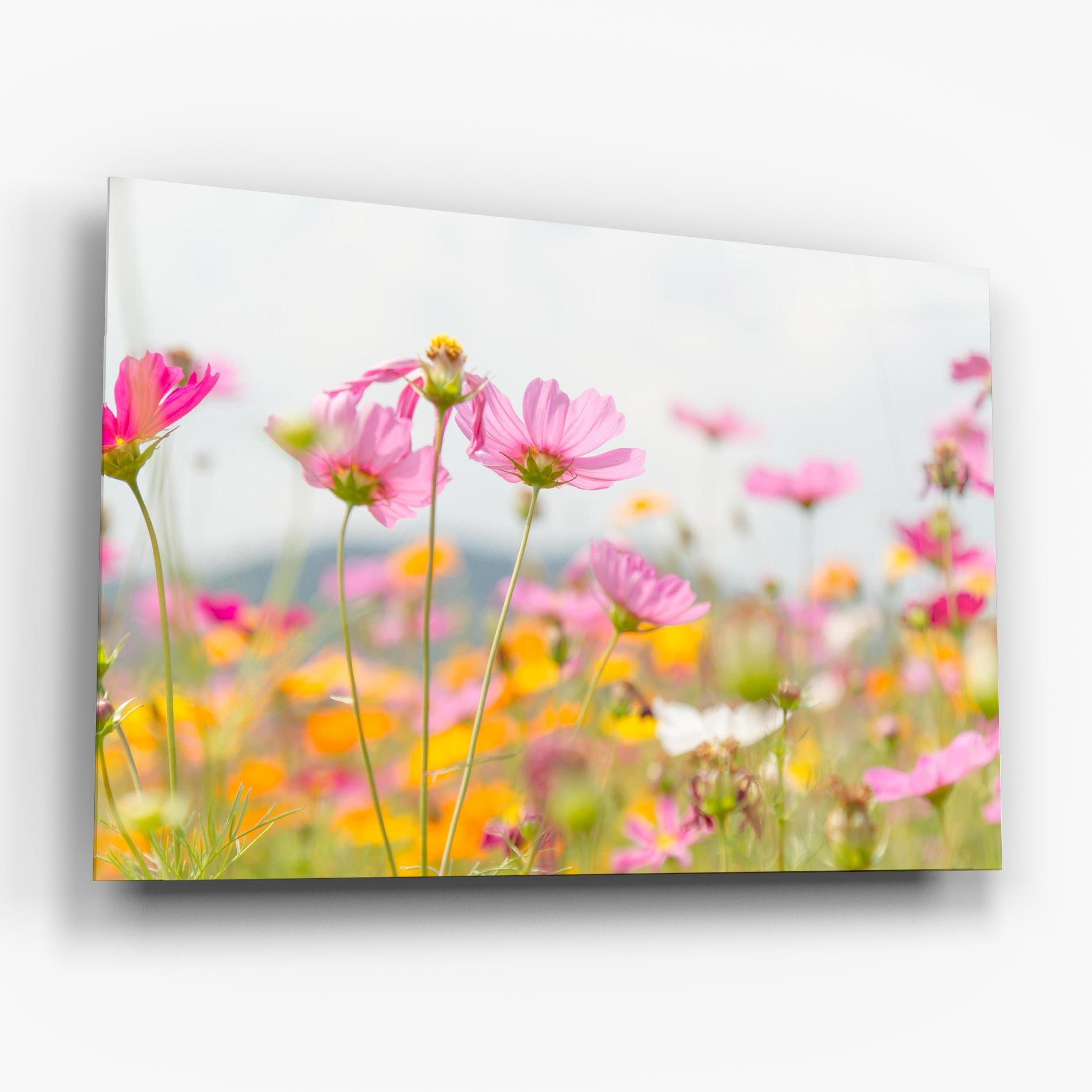 Стъклена картина Cosmos Beauty Flowers mockup 6